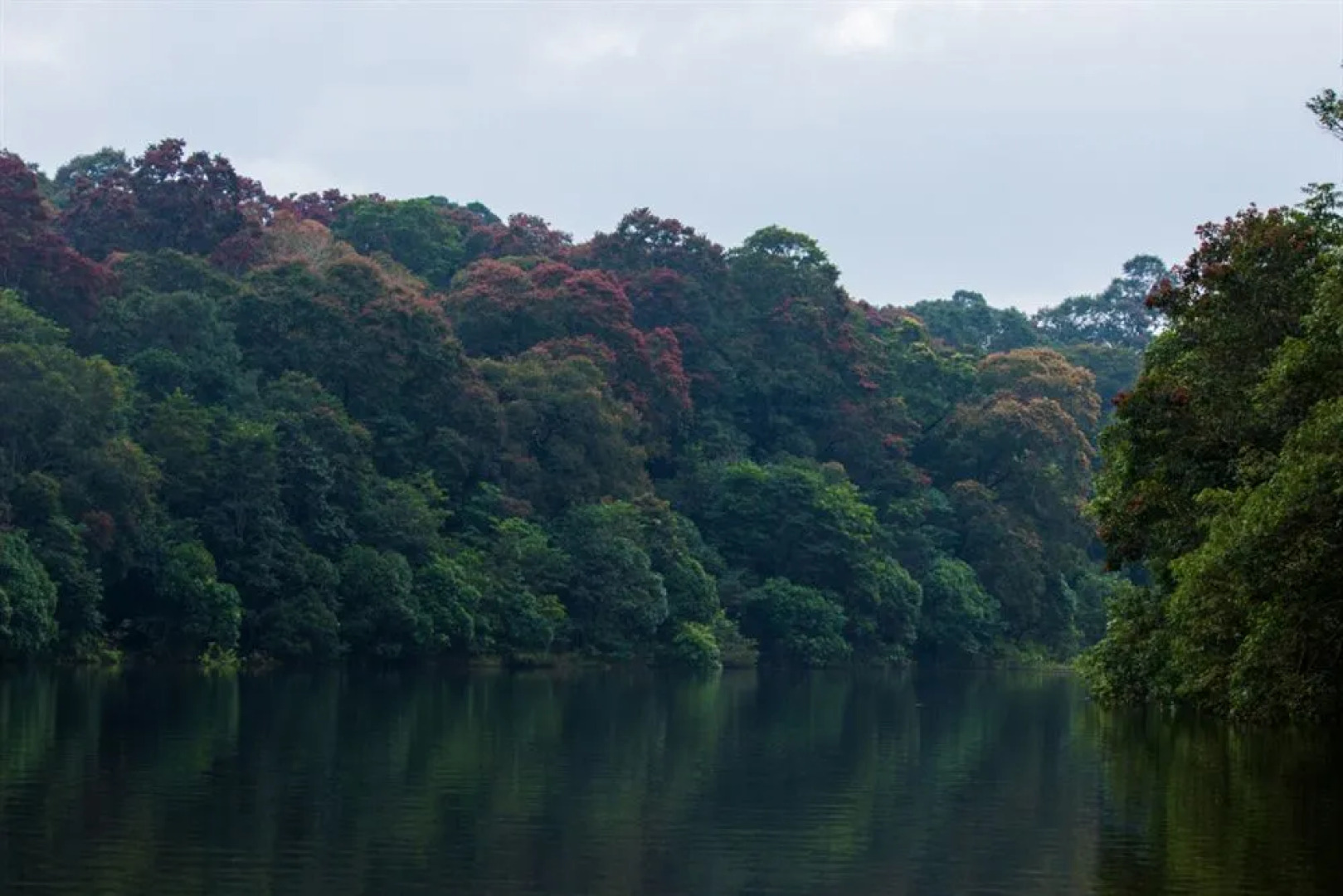 Vedanta Wake Up-Kumily Town Center