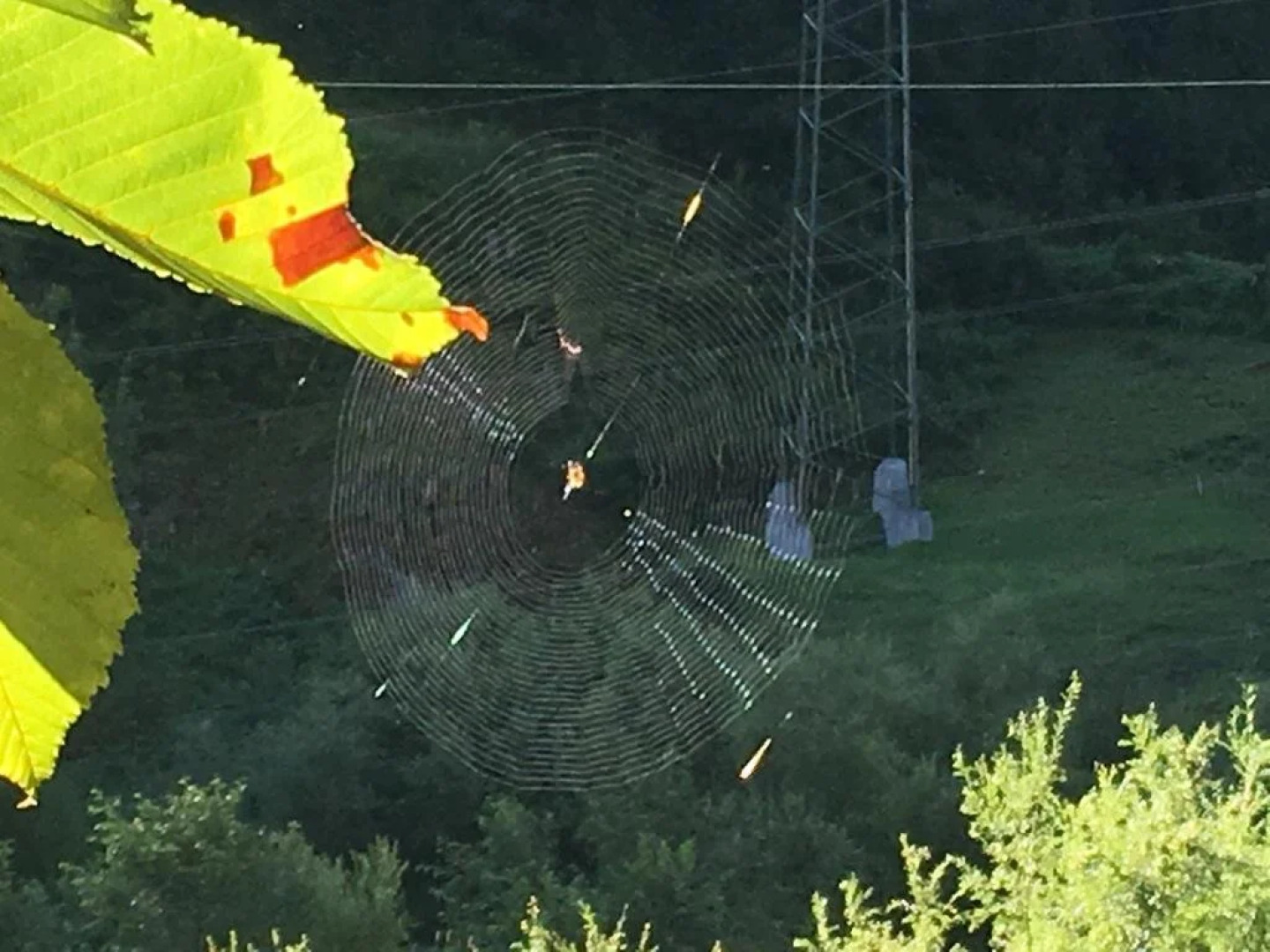 Hotel Restaurant Raben