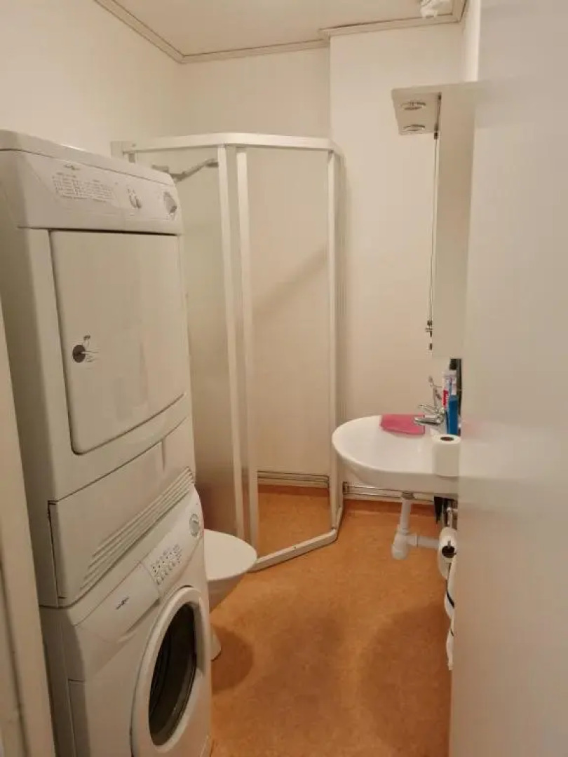 Mysig lägenhet med ett rum och kök 1103