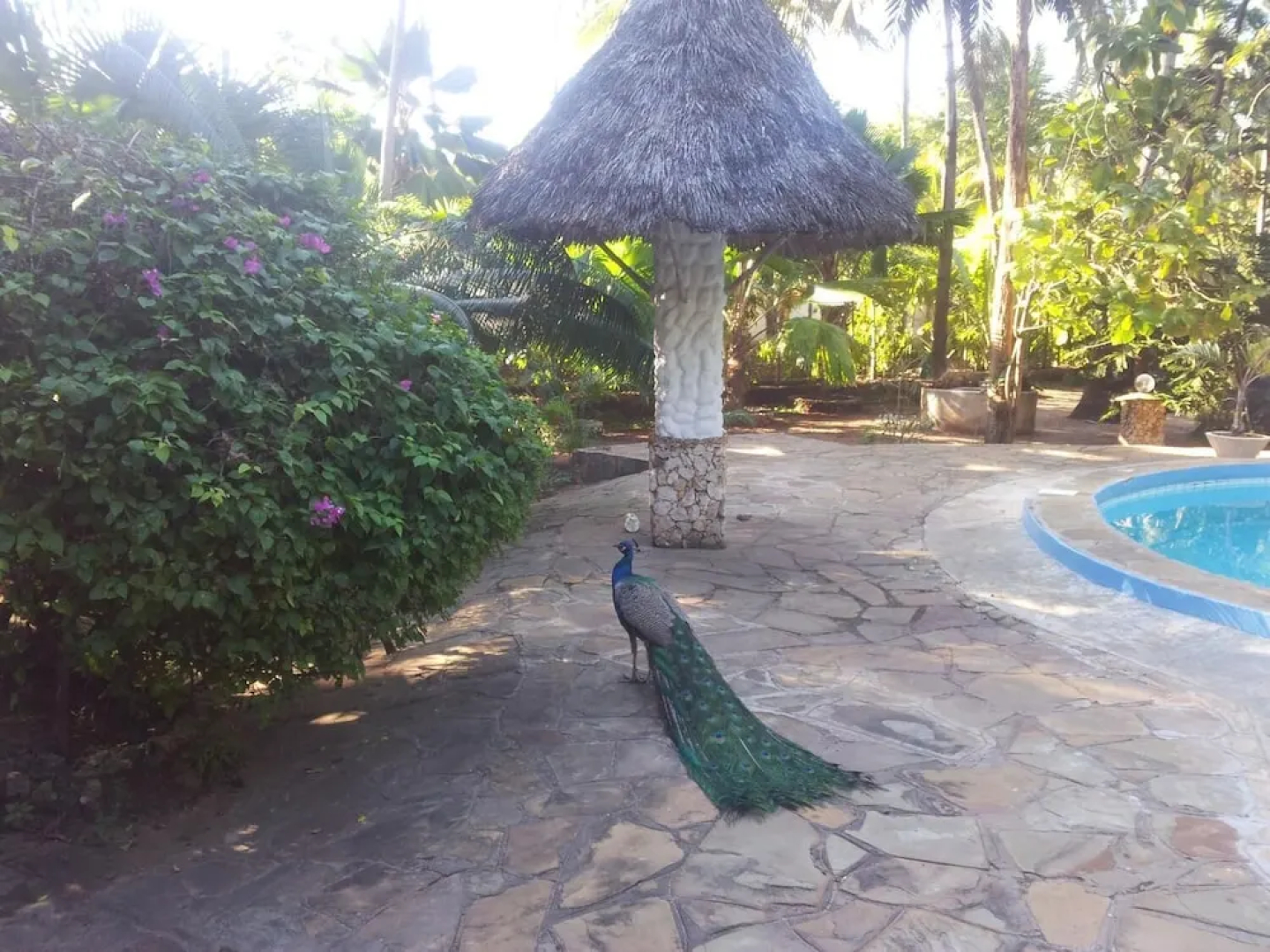 Dream of Africa Cottages Kanamai