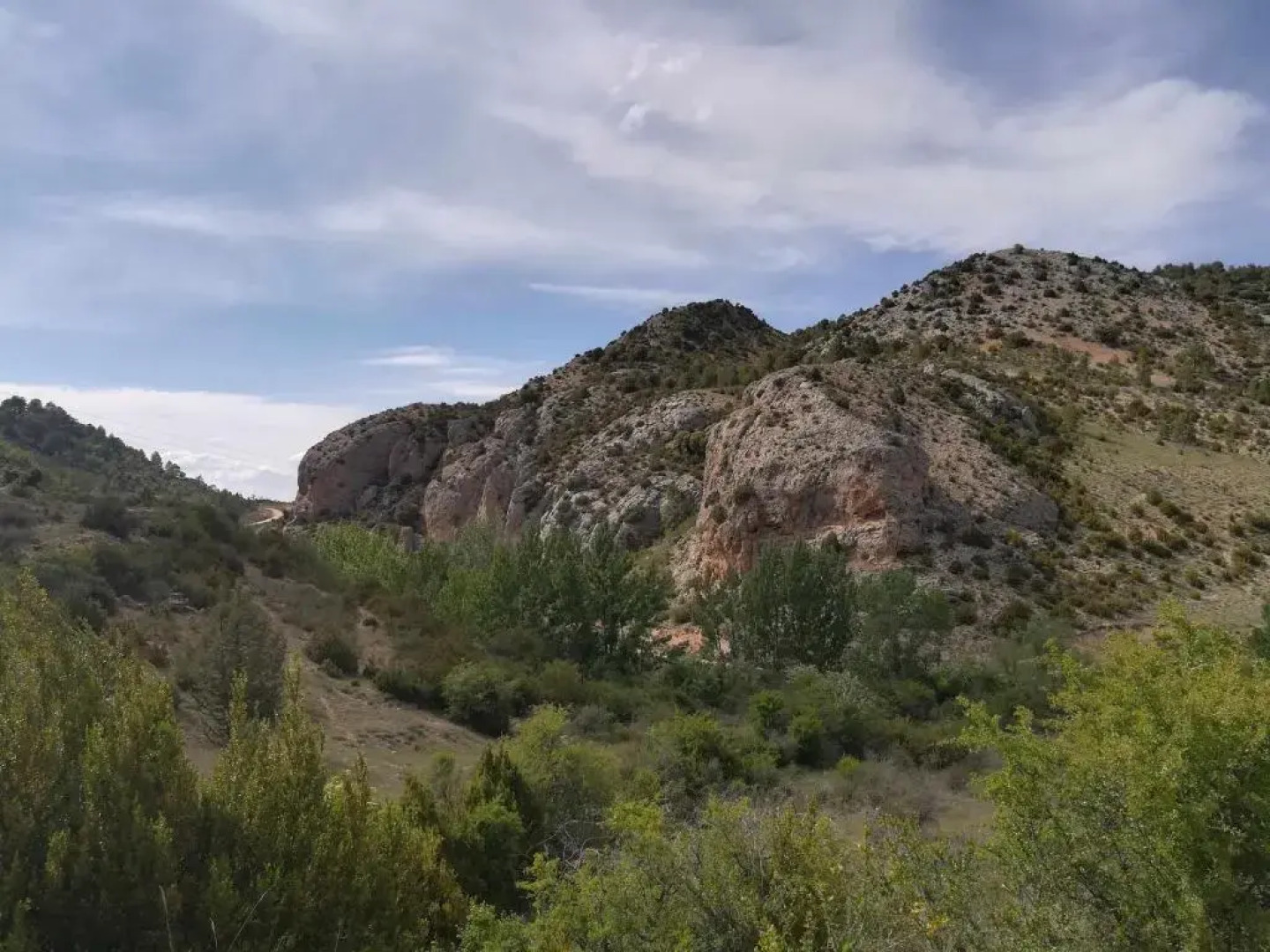 Apartamentos Rurales Las Aliagas