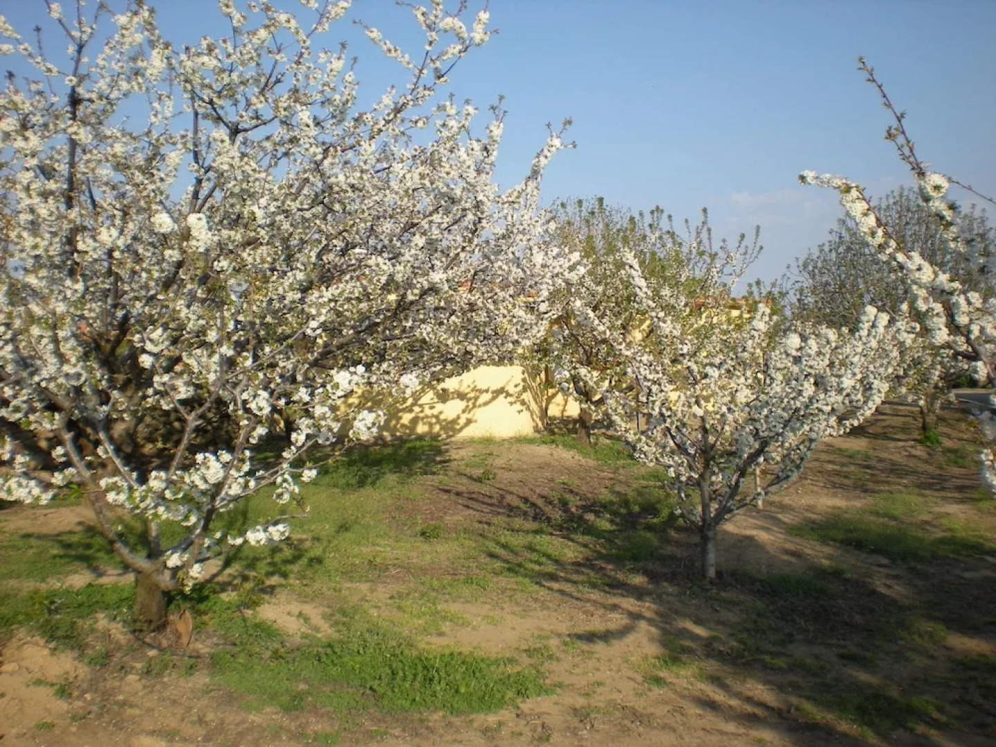 Casa Rural Mirador Los Cotos