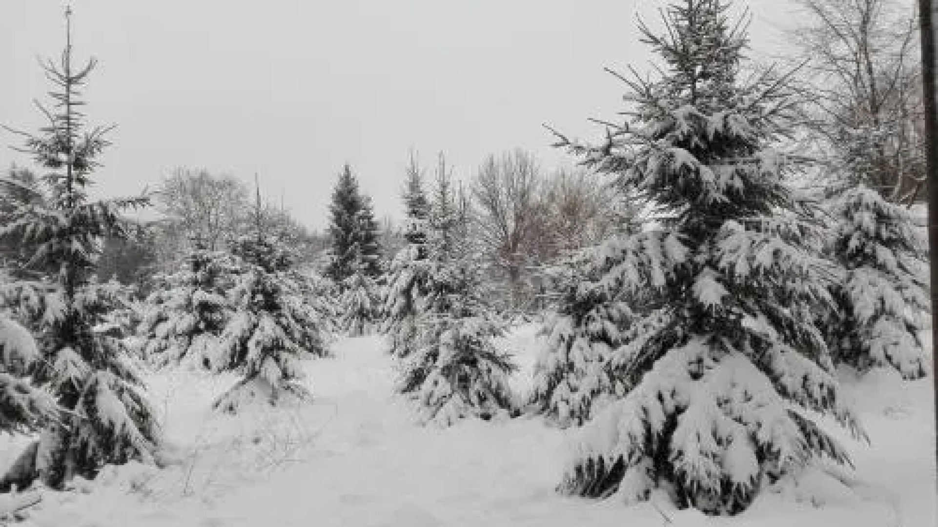 Appartement Danielle