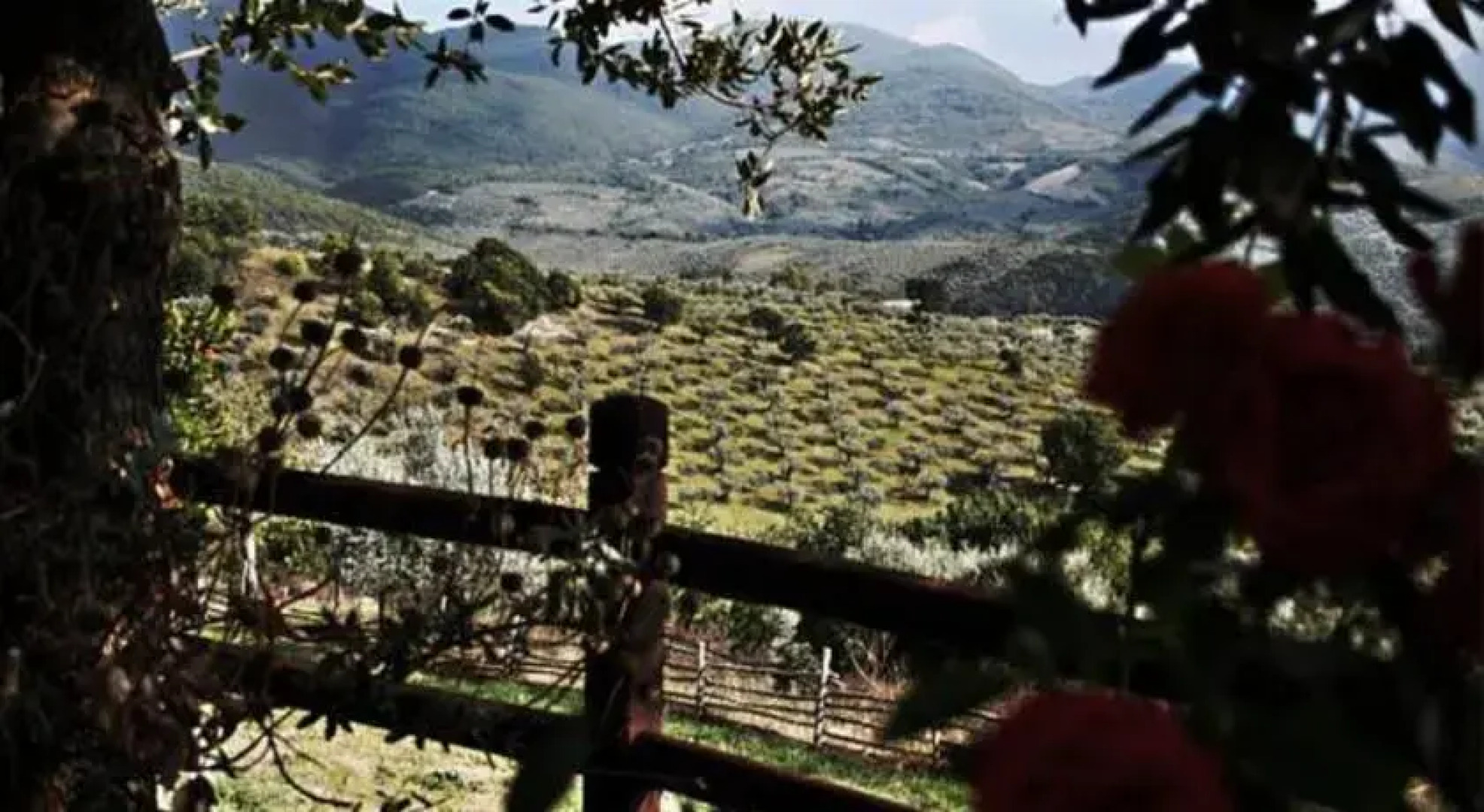 Bio Agriturismo Santo Paolo Alto