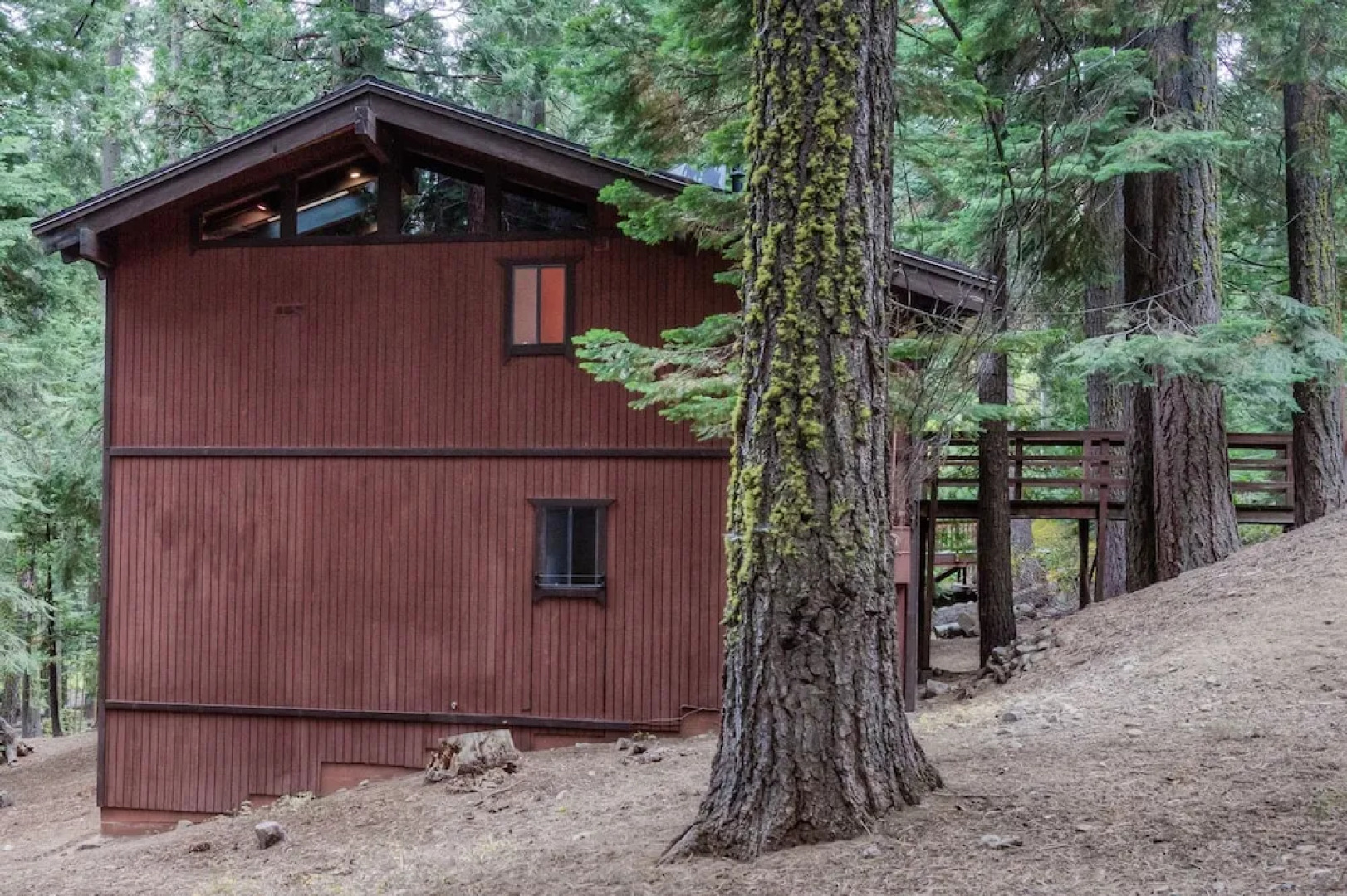 Rustic Modern Cabin in the Pines by RedAwning