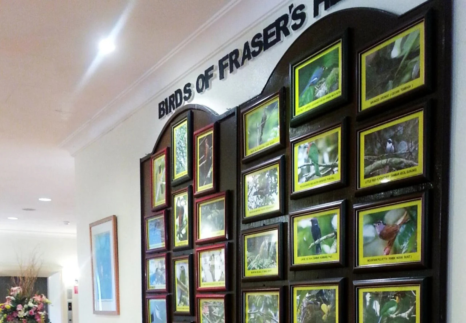 Wyndham Garden Shahzan Fraser's Hill