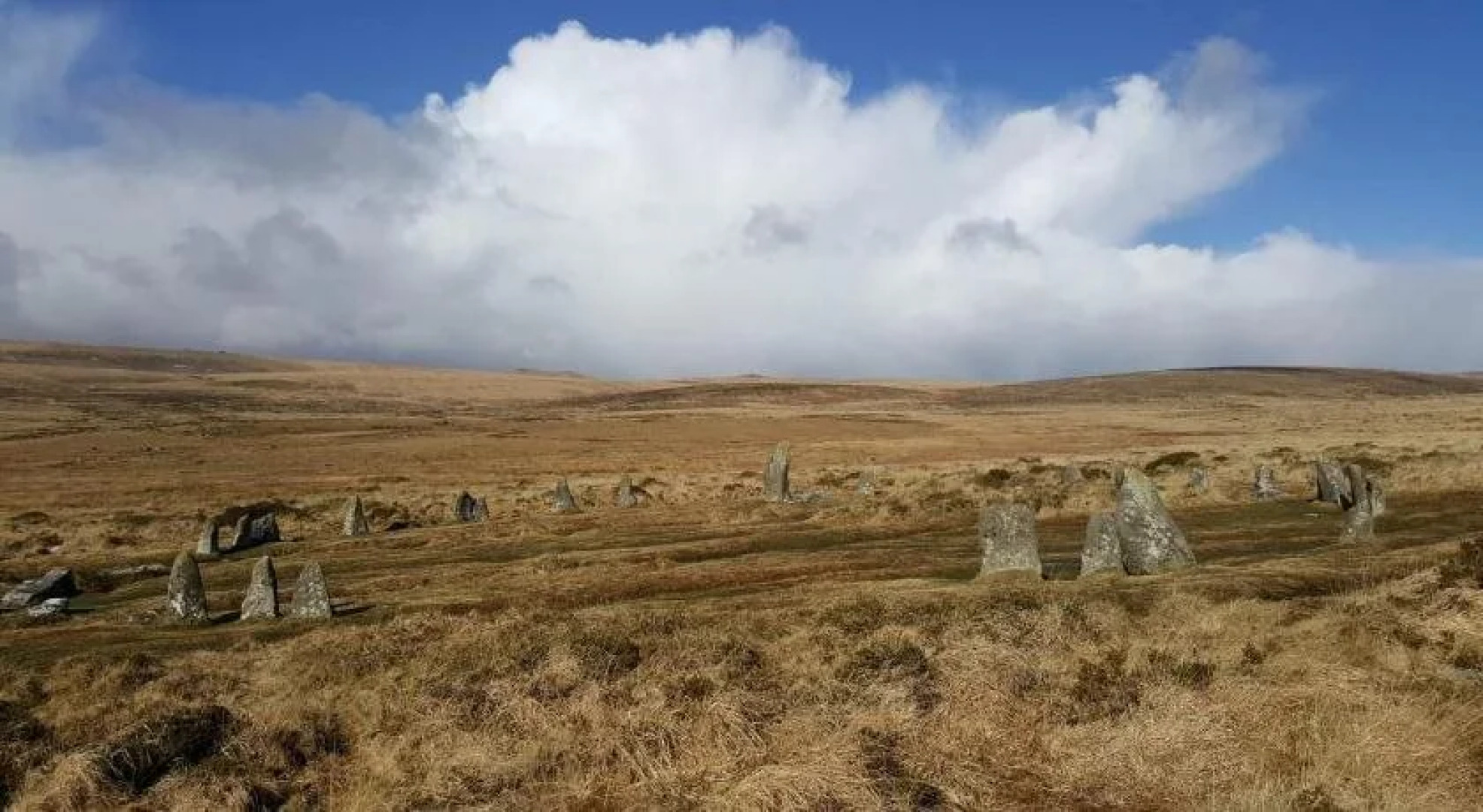 Eastwrey Barton - Guest house