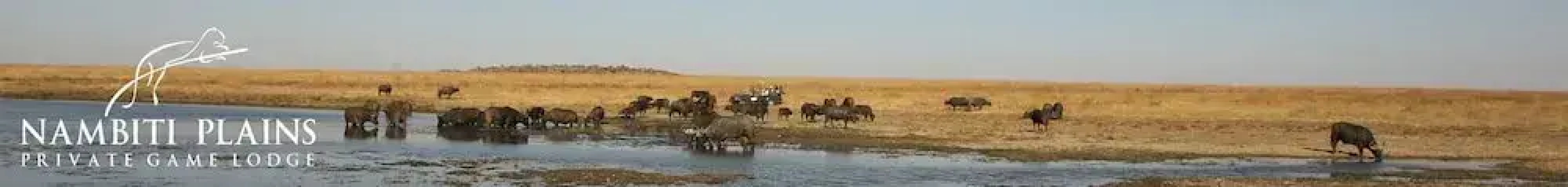 Nambiti Plains Private Game Lodge