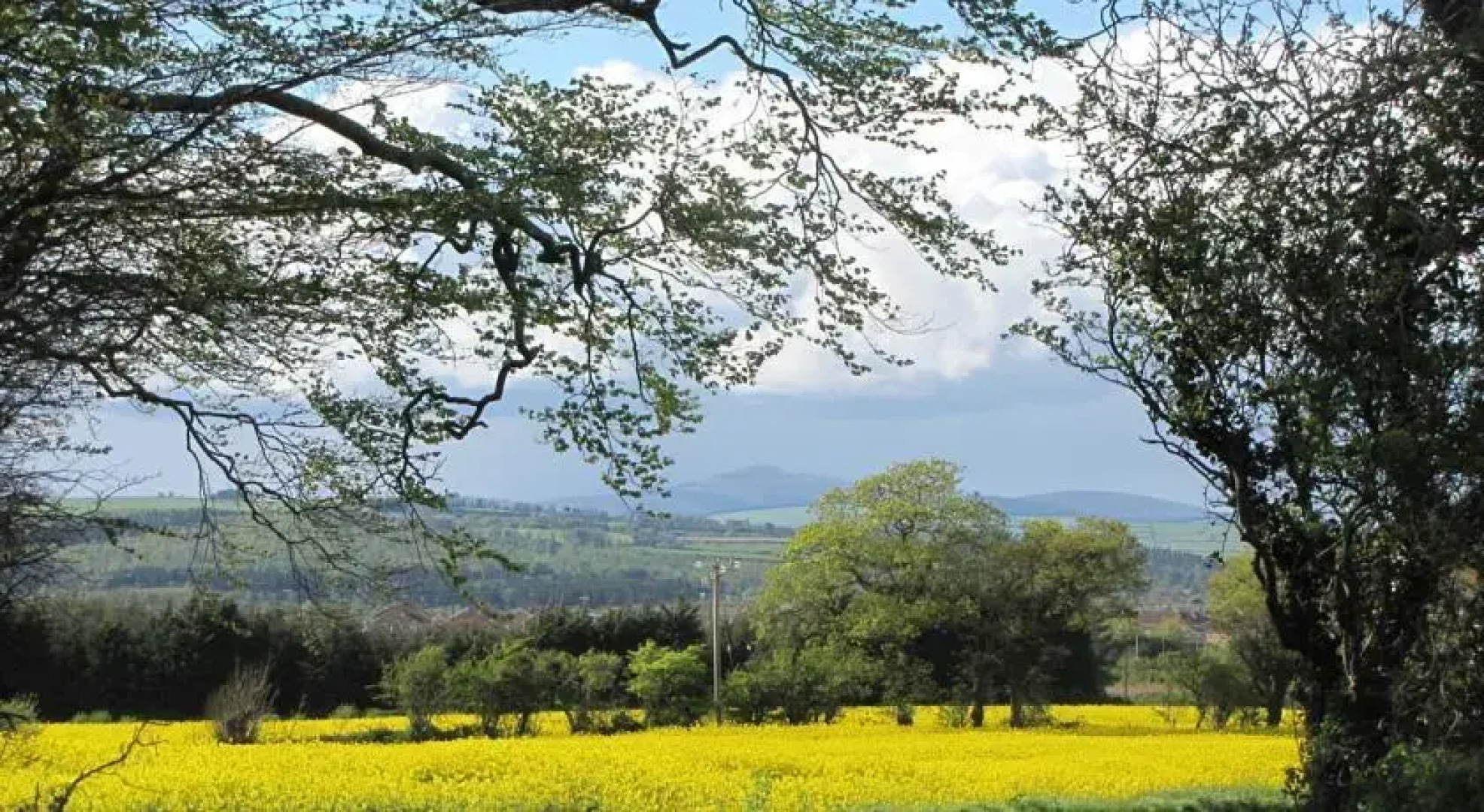 Moneylands Farm B&B & Self-Catering