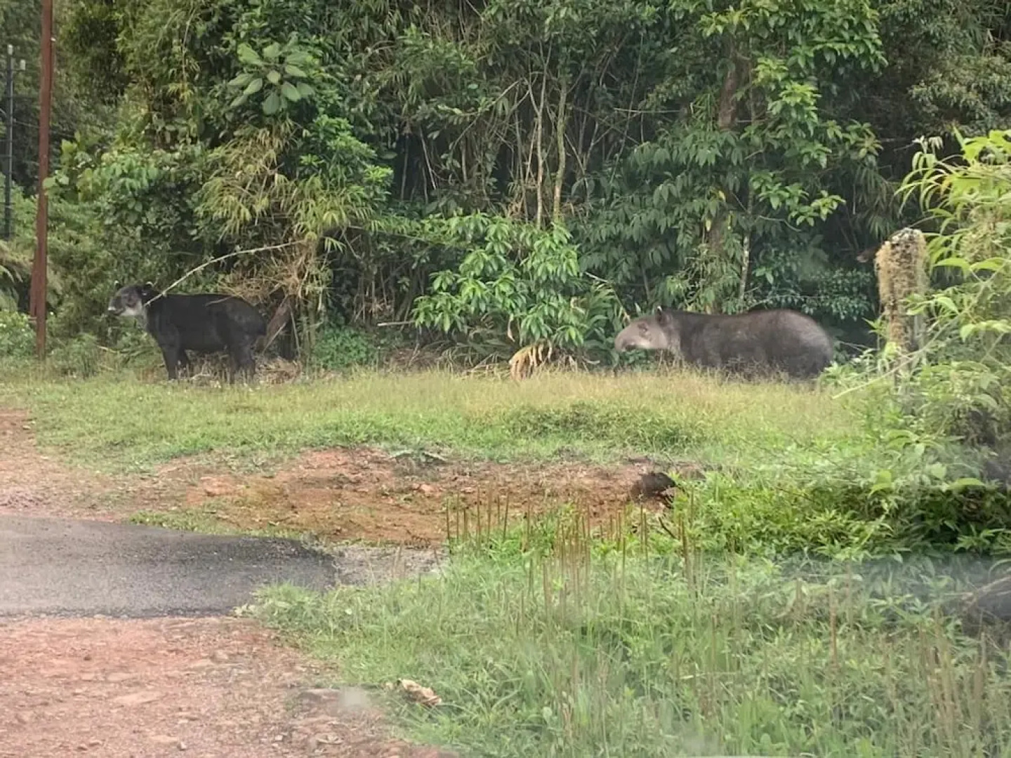 Chalets Vistas del Poas