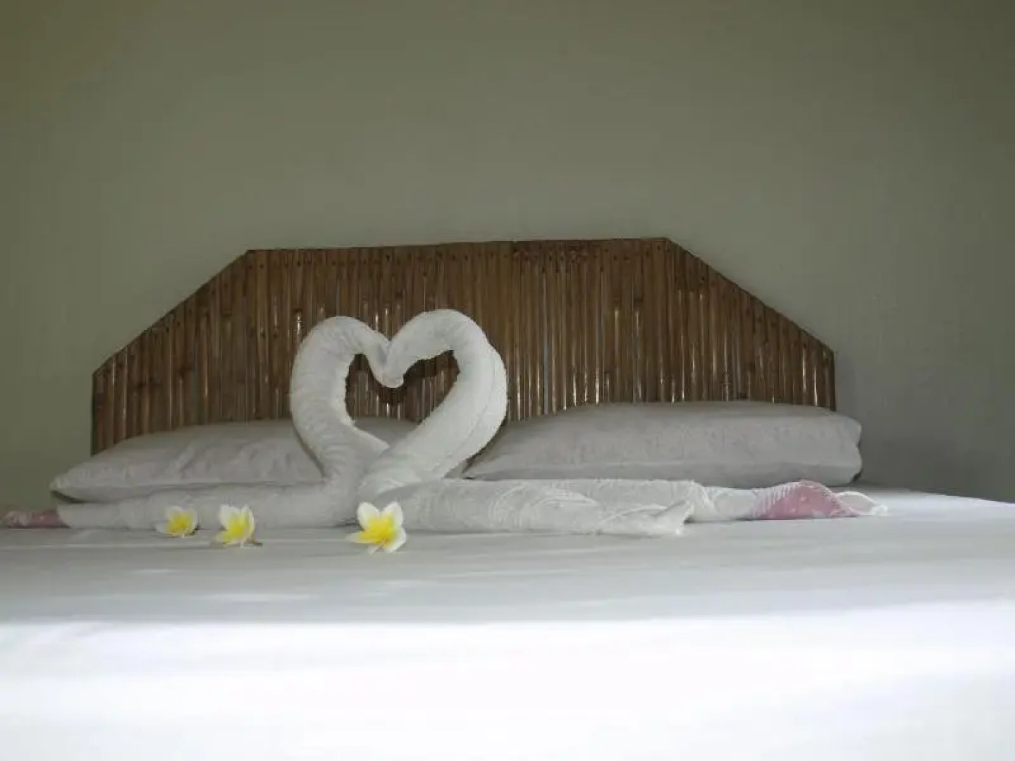 The Sharks Tail Dive Center