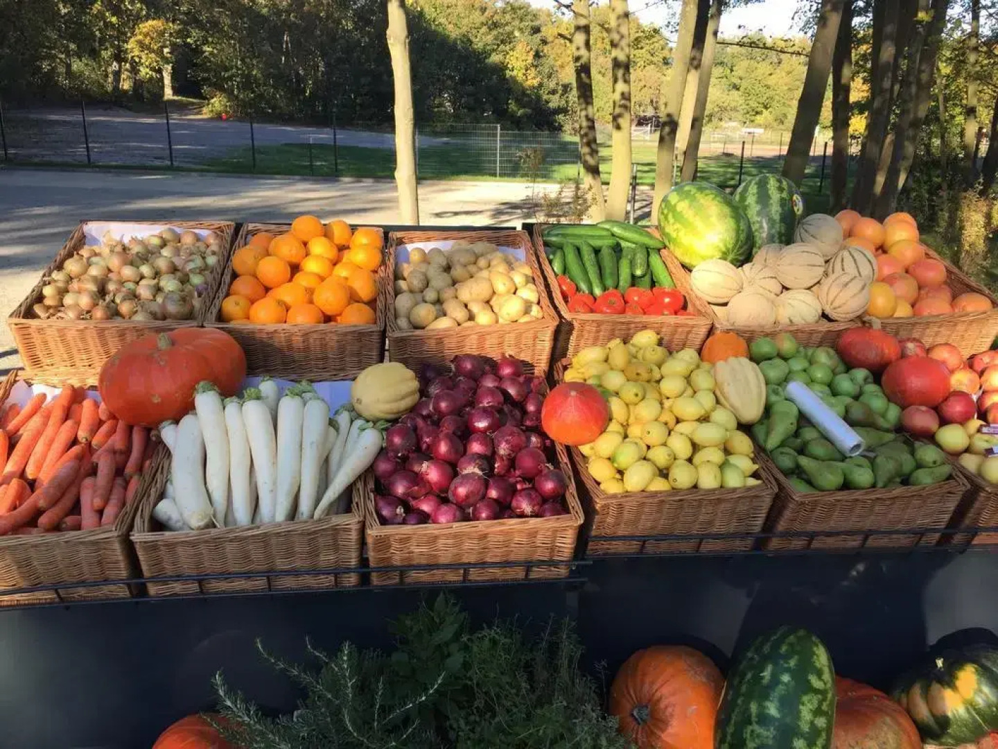 Rosevia Resort & Spa