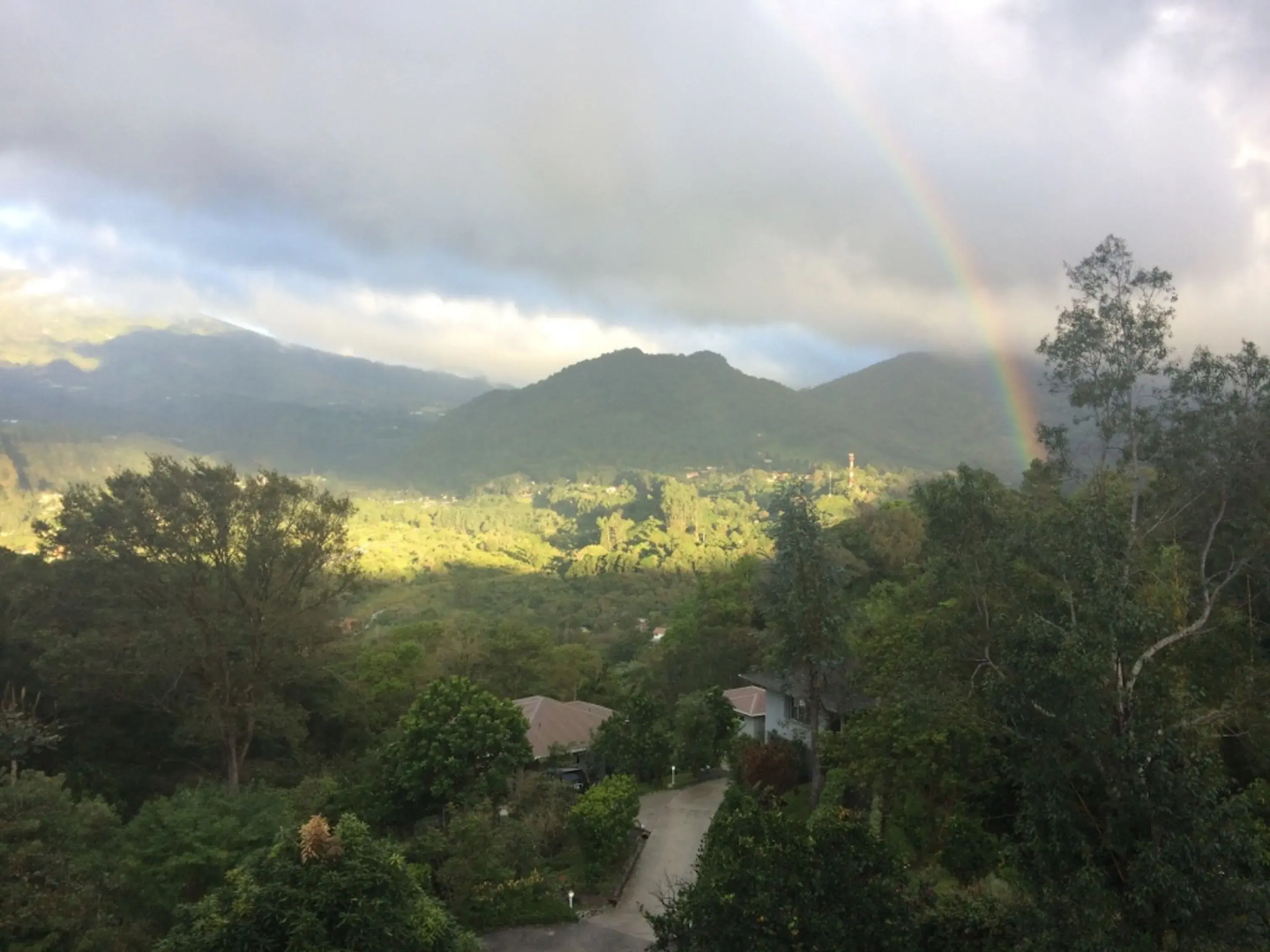 Coffee Estate Inn