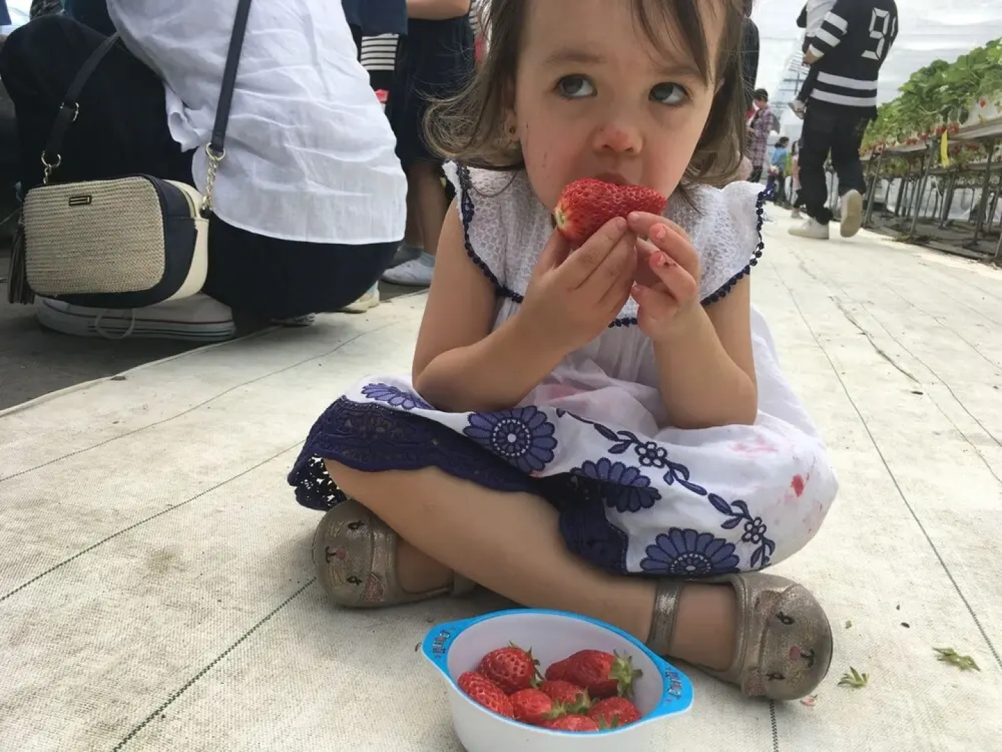 Abbey Road Inn Seika