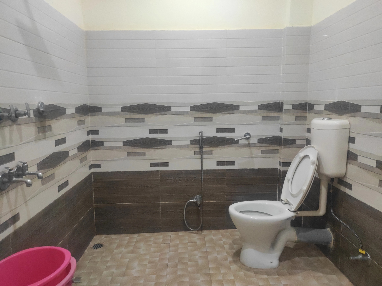 Homocation Bagori Kaziranga