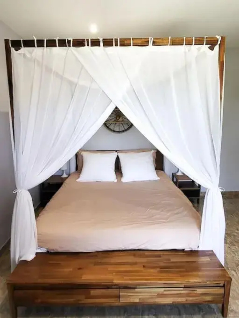 L'eden Sous L'olivier