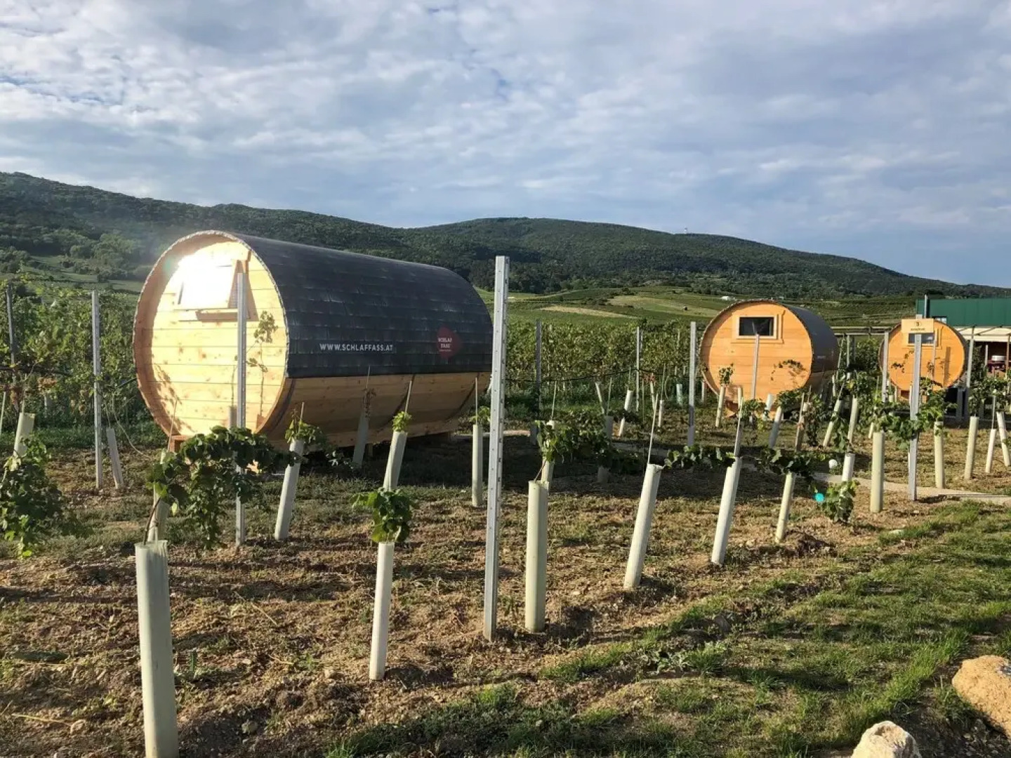 Schlaffass- Schlafen im Weinfass - Campsite