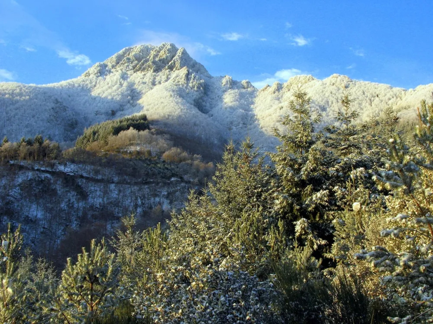 Villa Hortensia CasasMontseny CostaBrava