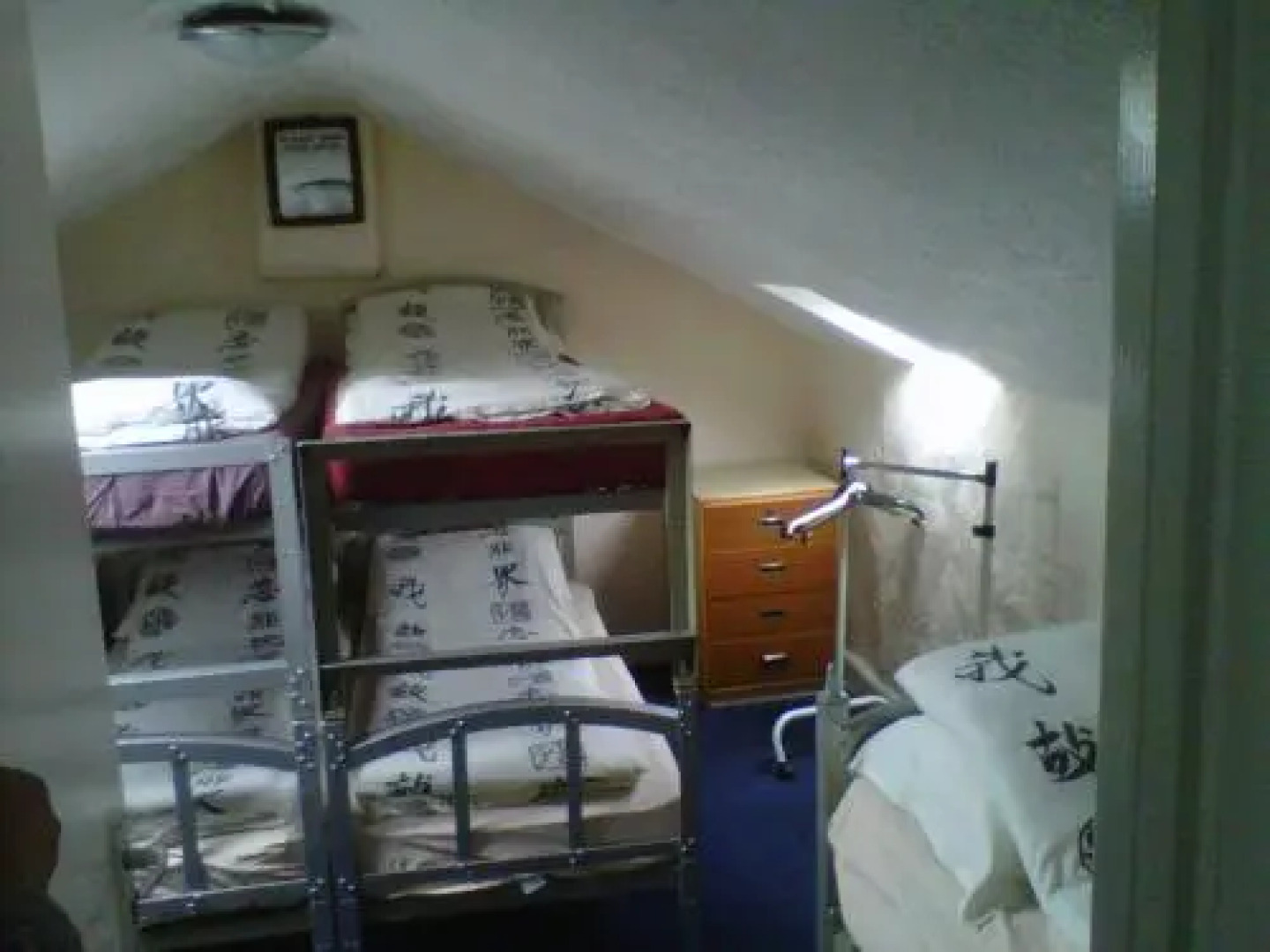 The Satter International