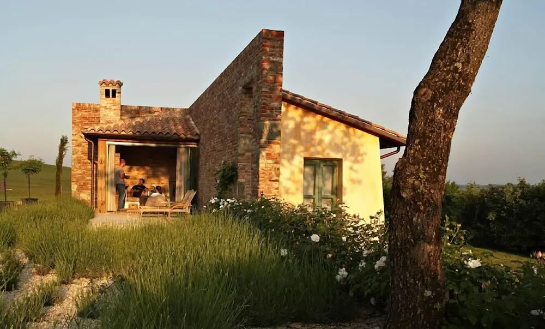 Verdidea - GALLO&GALLETTO