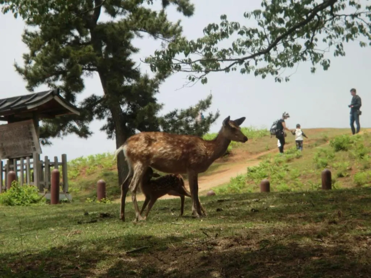 Atelier Bee's Knees Bed & Breakfast