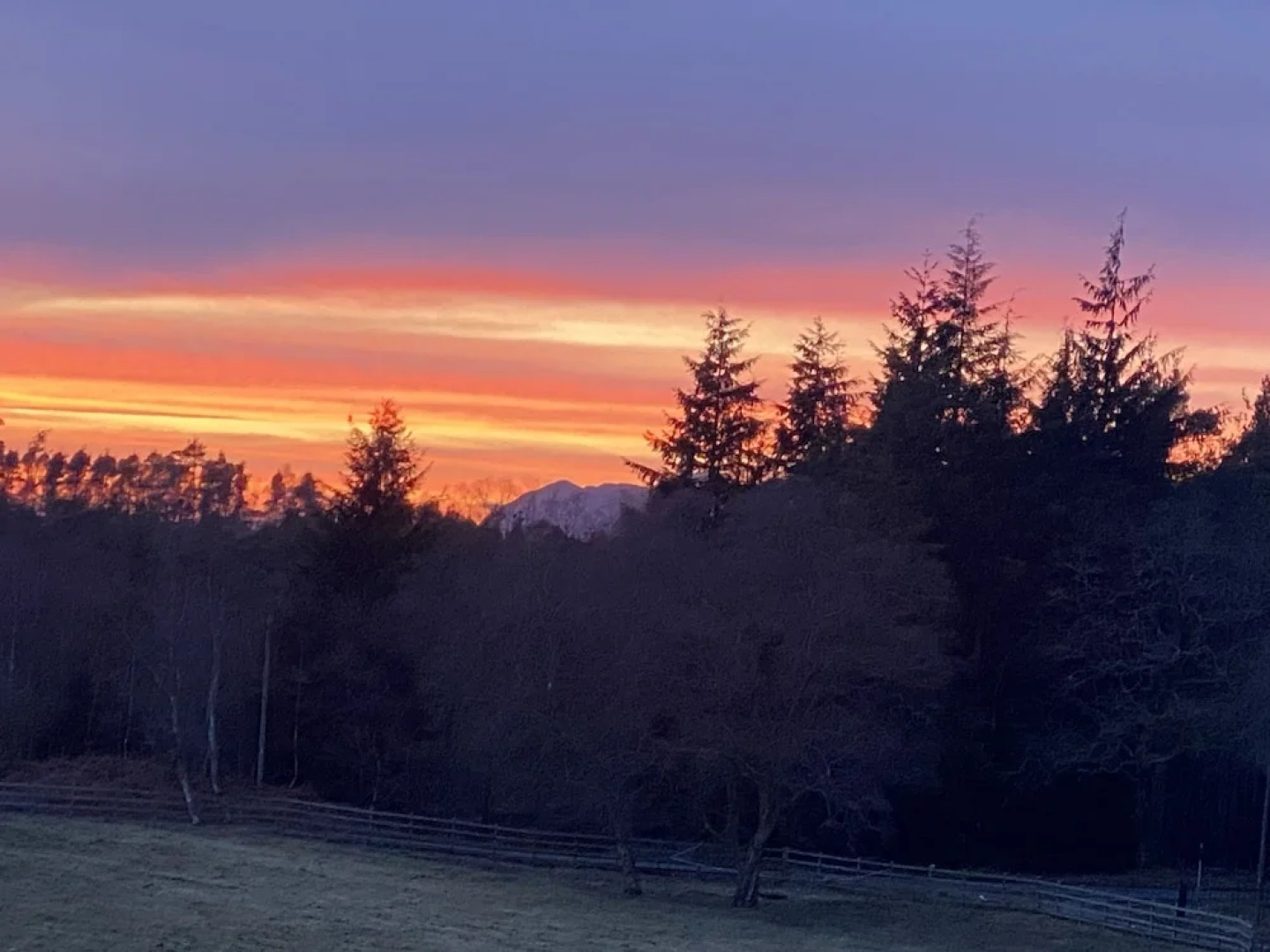 The Annex at Meeks Park Immaculate 2 bed