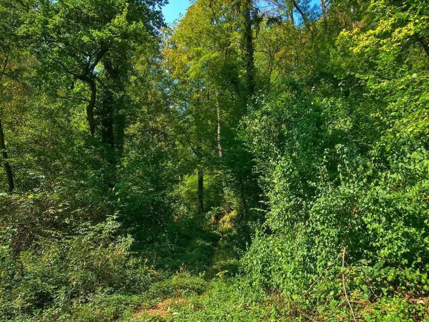 Hôtel-Restaurant Au Relais Du Château Mensberg