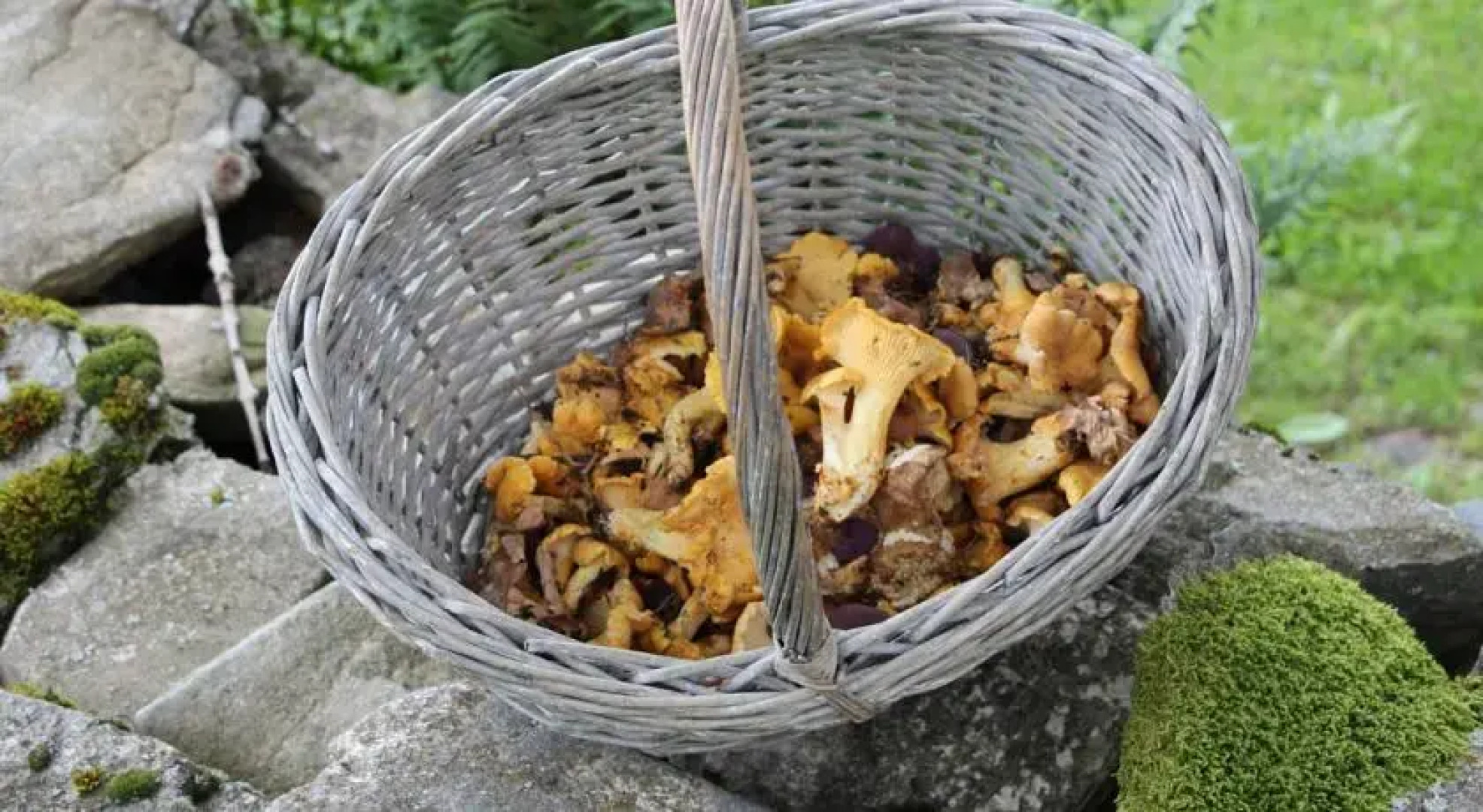 La Maison des Chazes