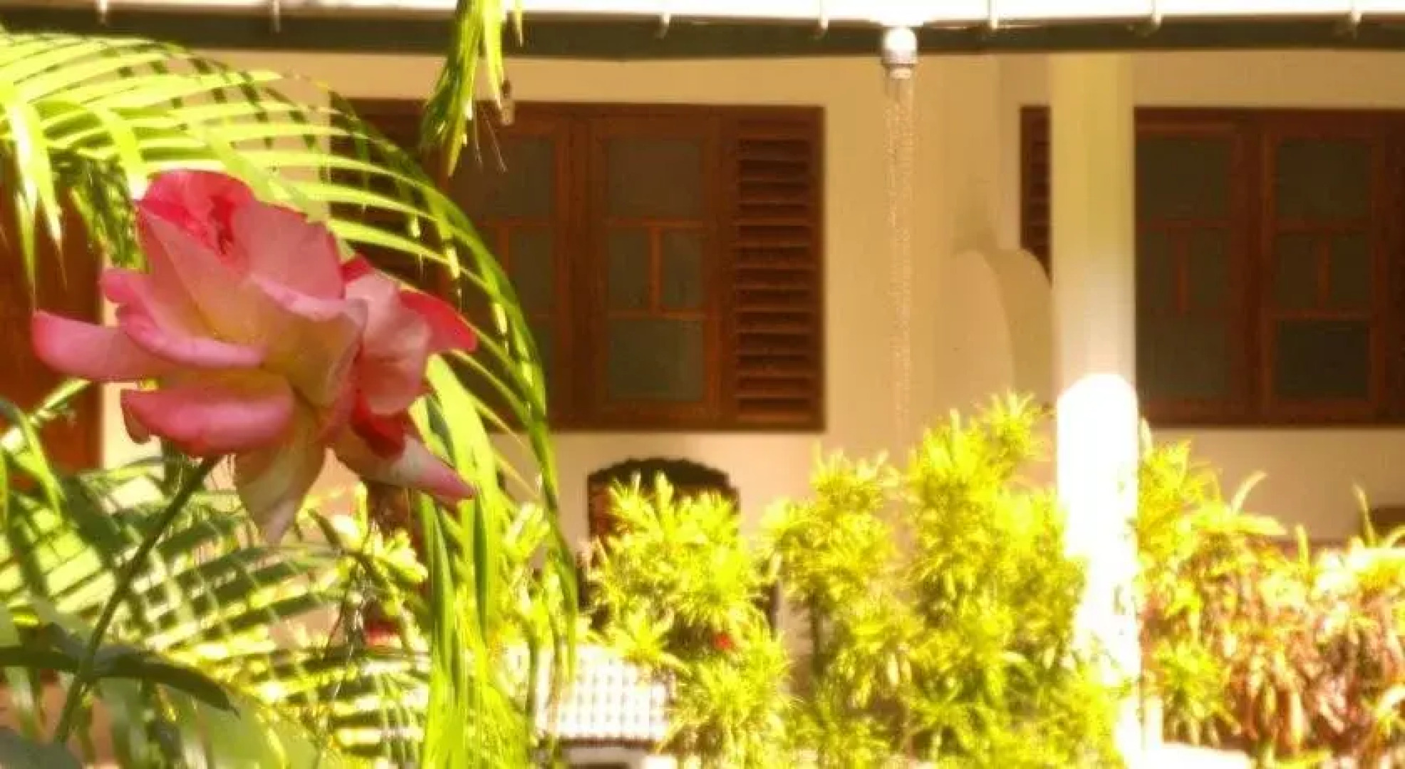 Palm Garden Guest House