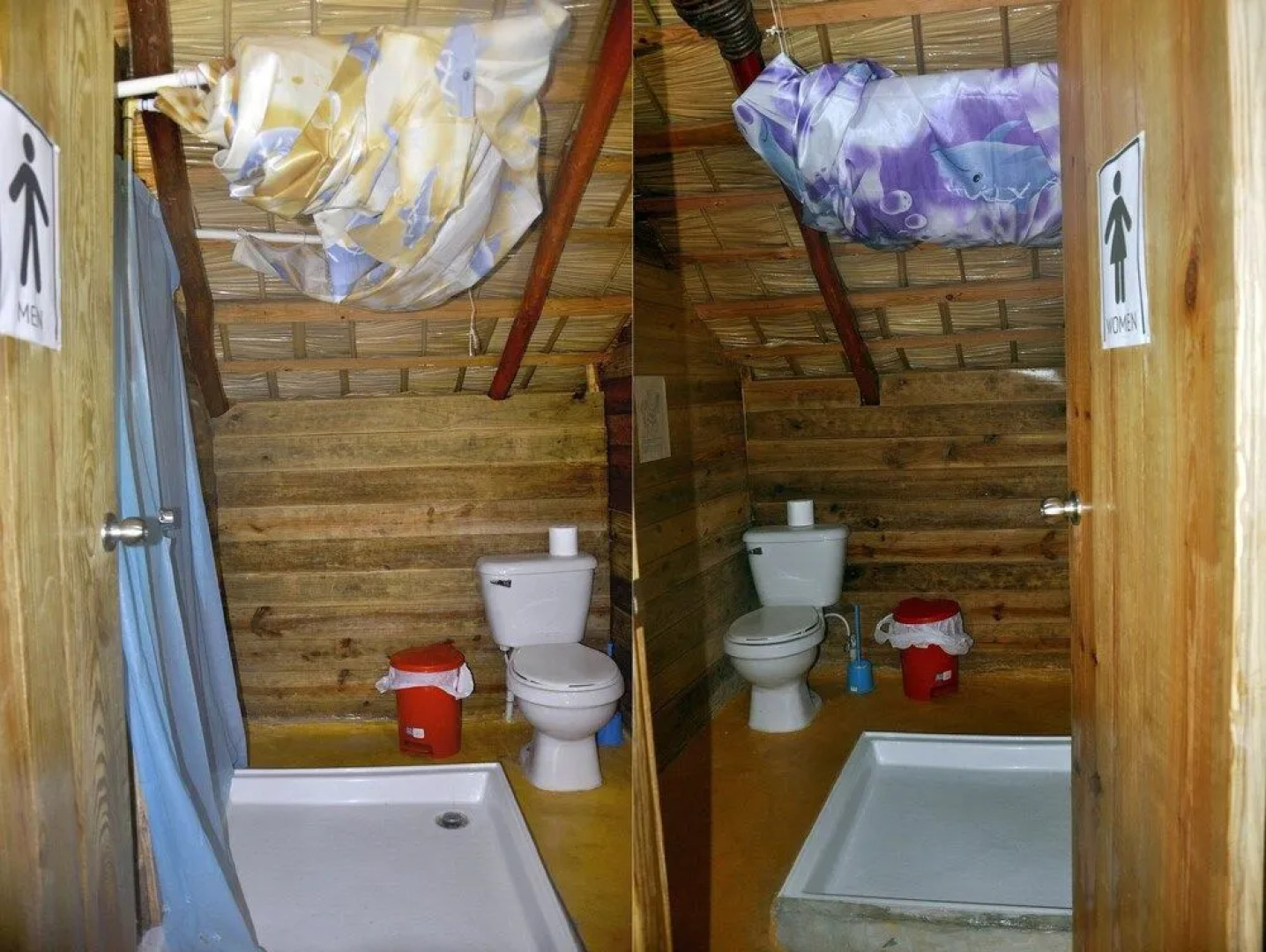 Hostel La Ballena Backpacker