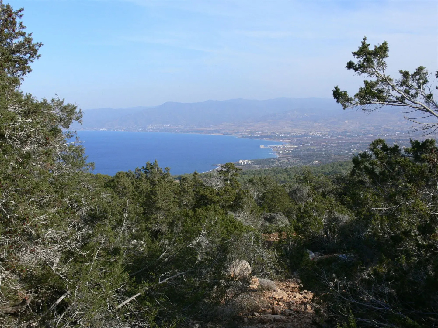 Tavros Hotel Apartments