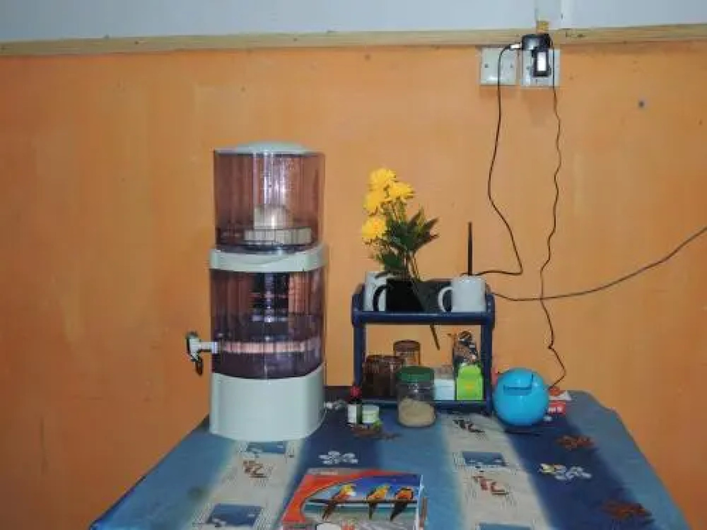 Oasis Tourist Welfare Center