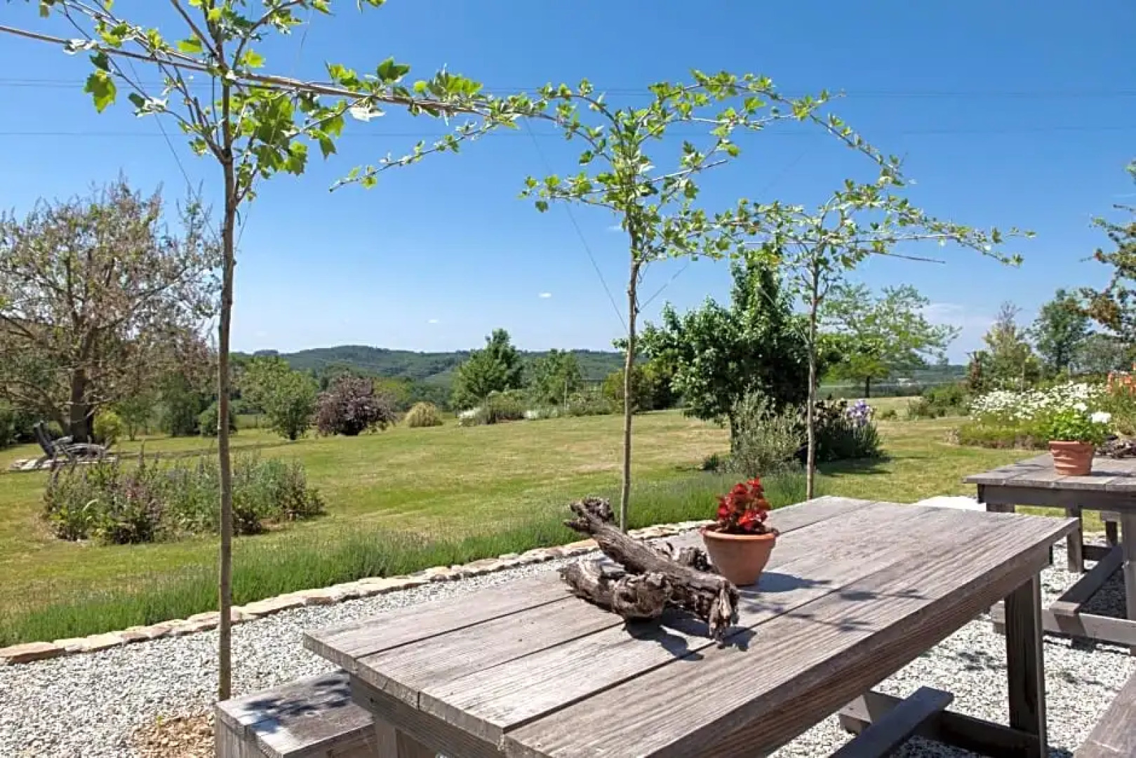 B&B Fleur de Lys Bleue