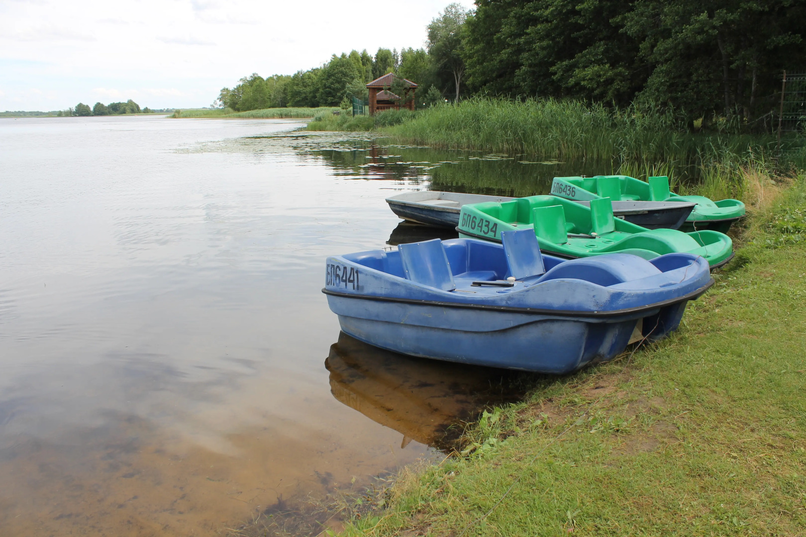 Дривяты (Витебская боласть)