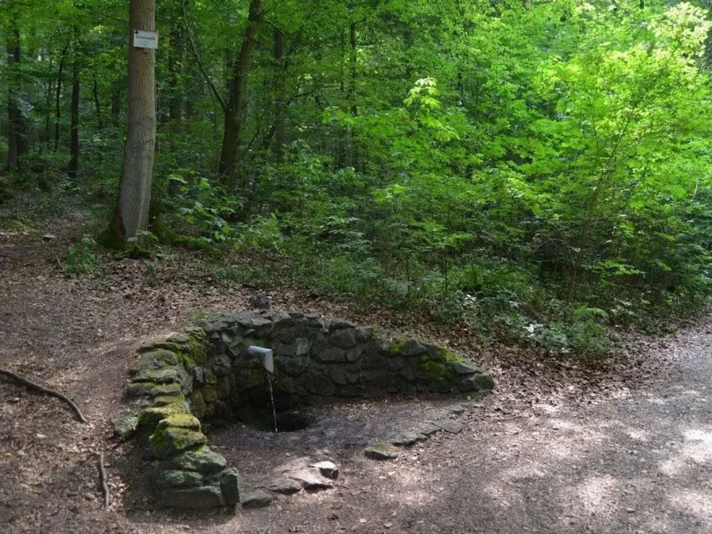 Cosy Apartment in Langelsheim With Private Garden