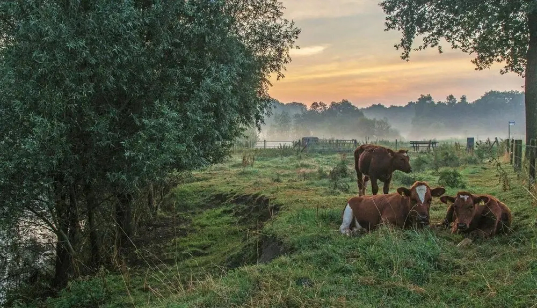 Hotel Appartementen Klaver Vier