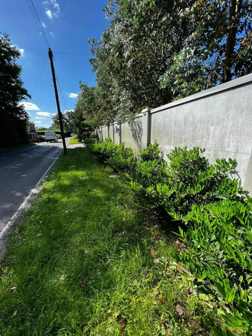 The Caduceus - Private Cabins