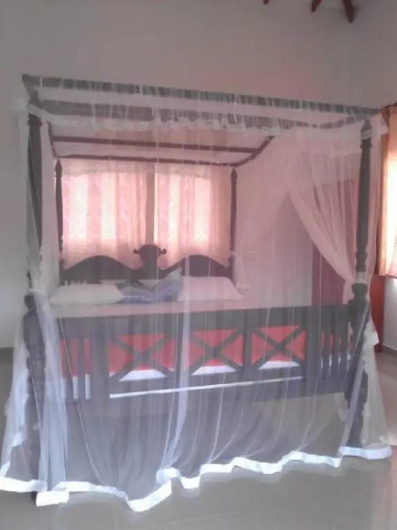 Villa Jungle Paradise