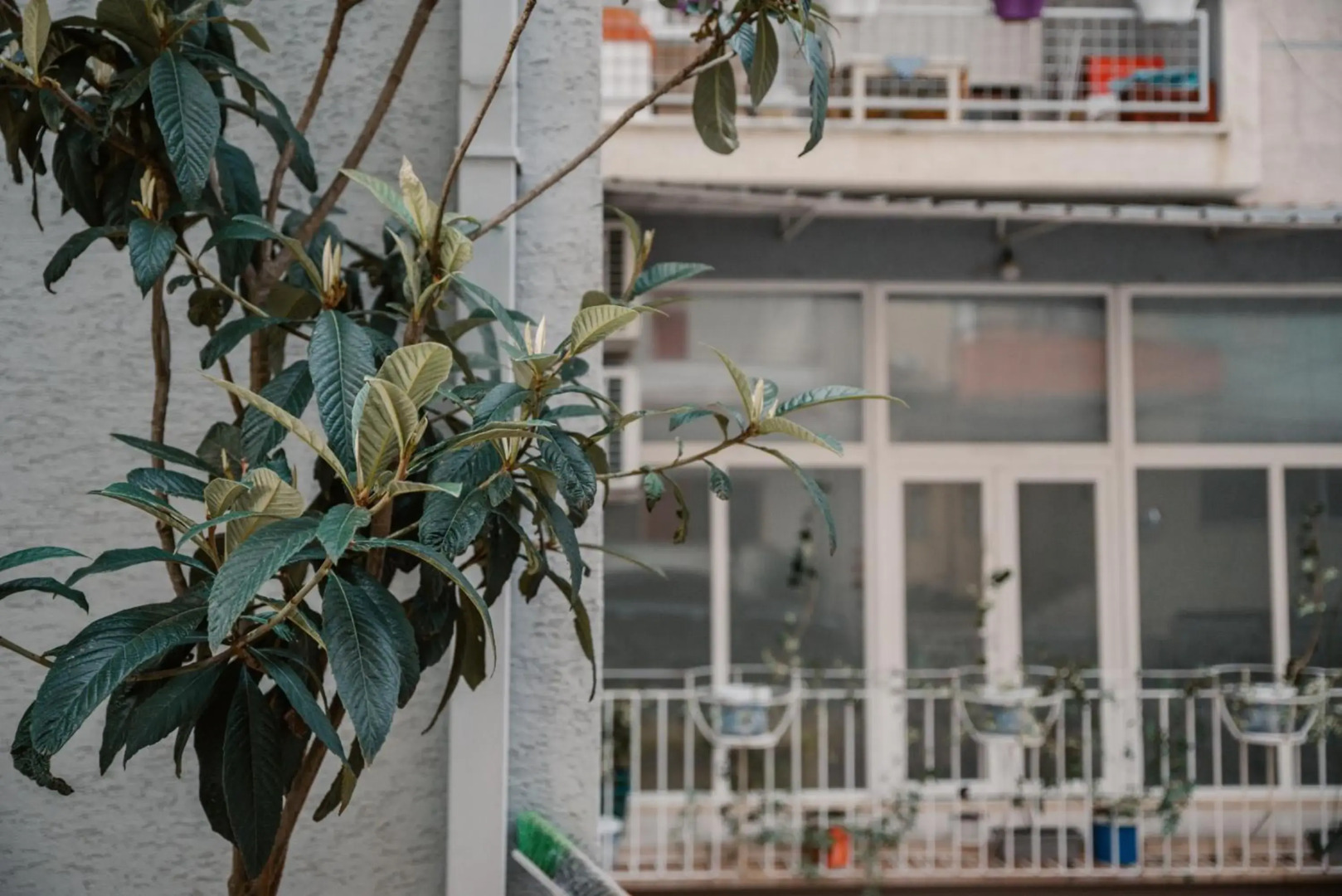 Sun&Moon Ohridlake Apartments