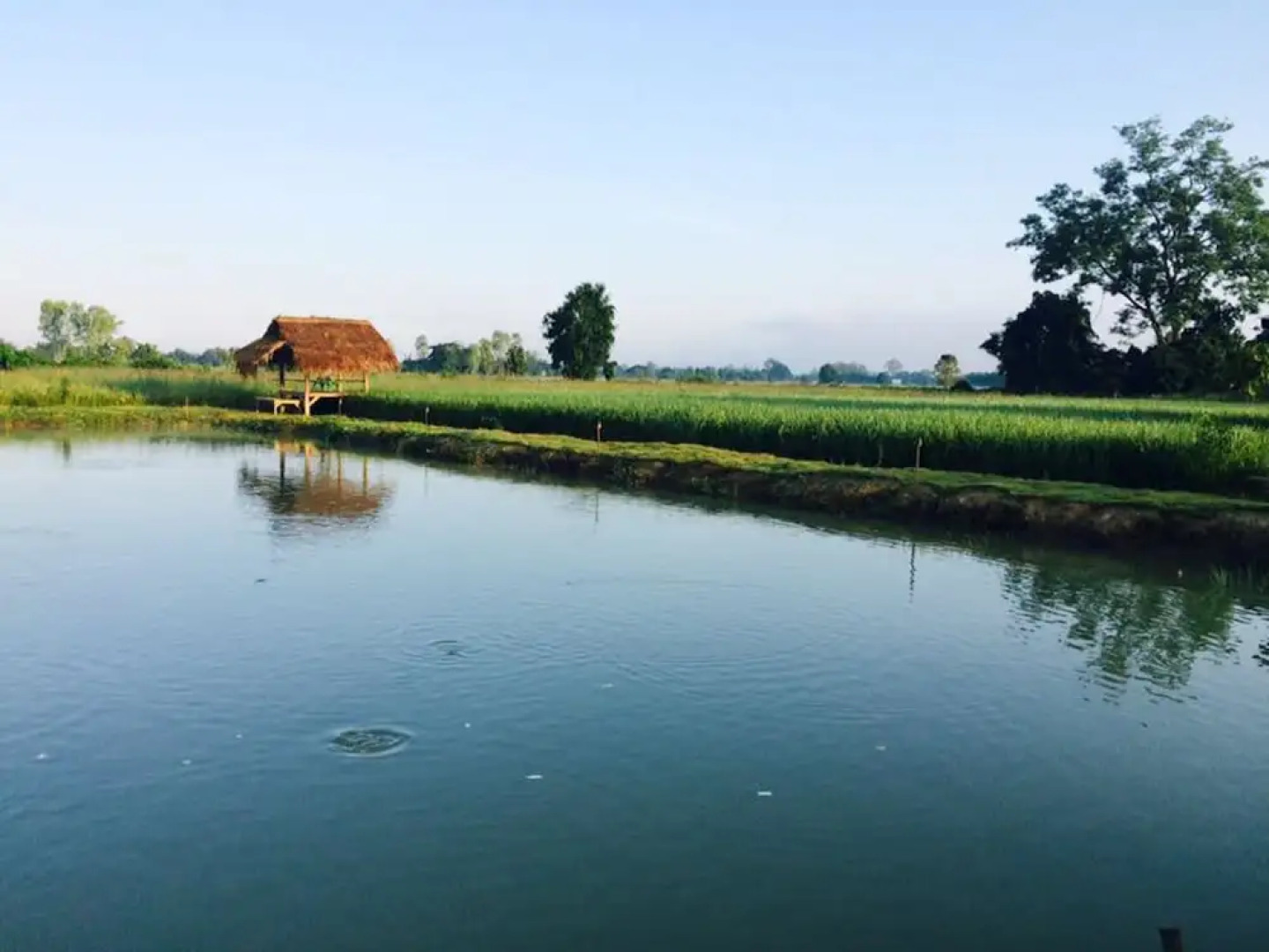 The Vacation Baanraipaina