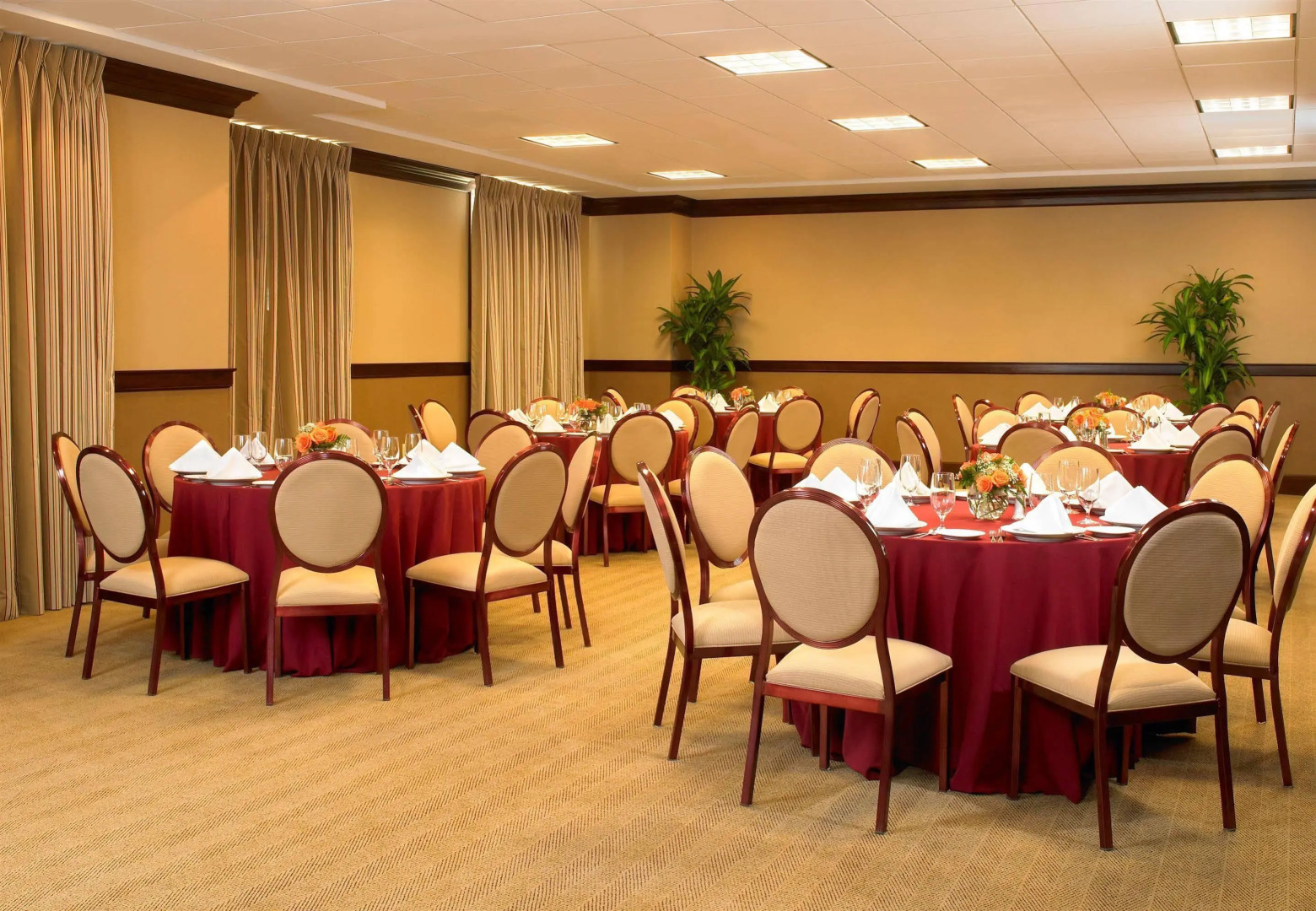 Sheraton JFK Airport