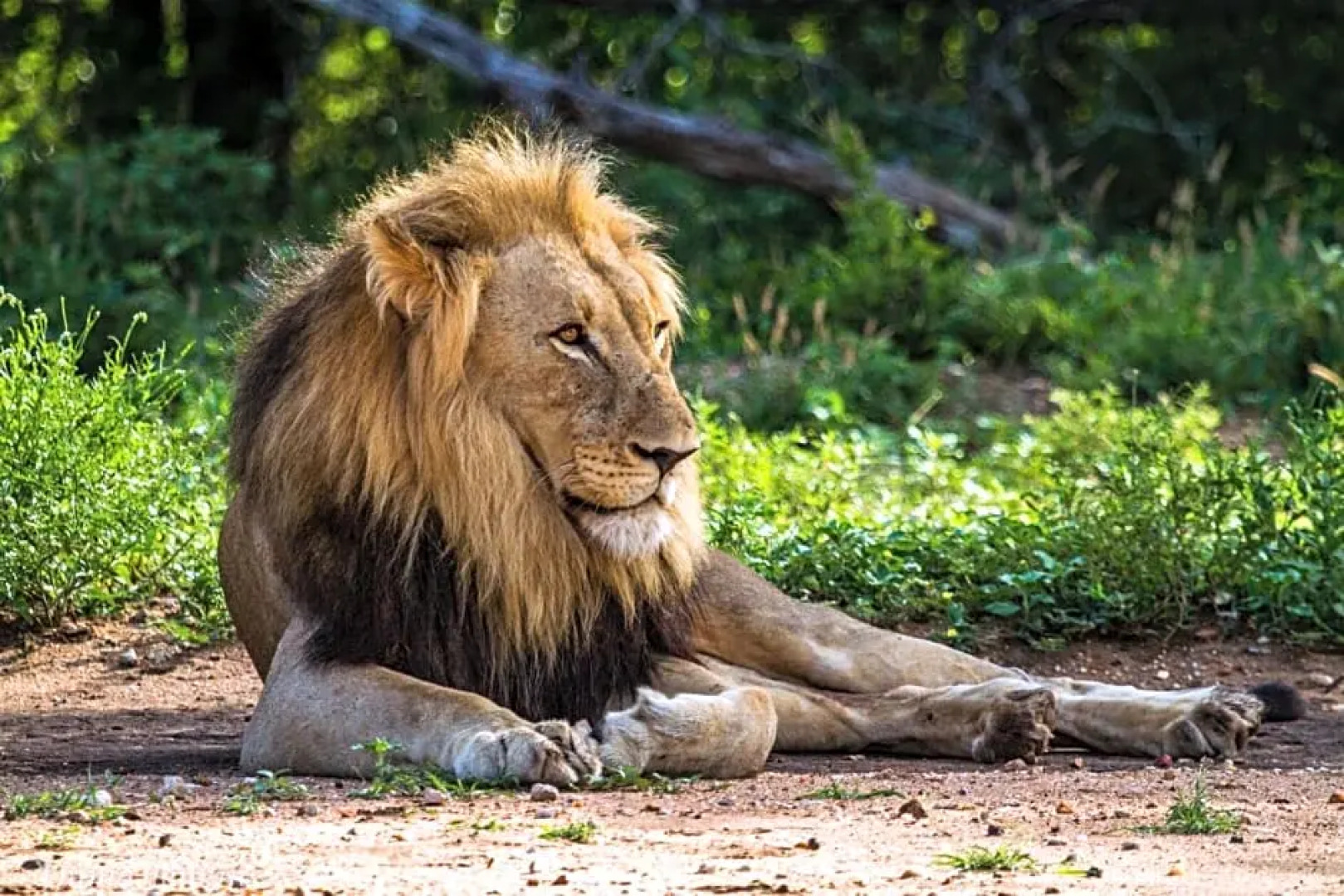 Big 5 Self-catering Lodge