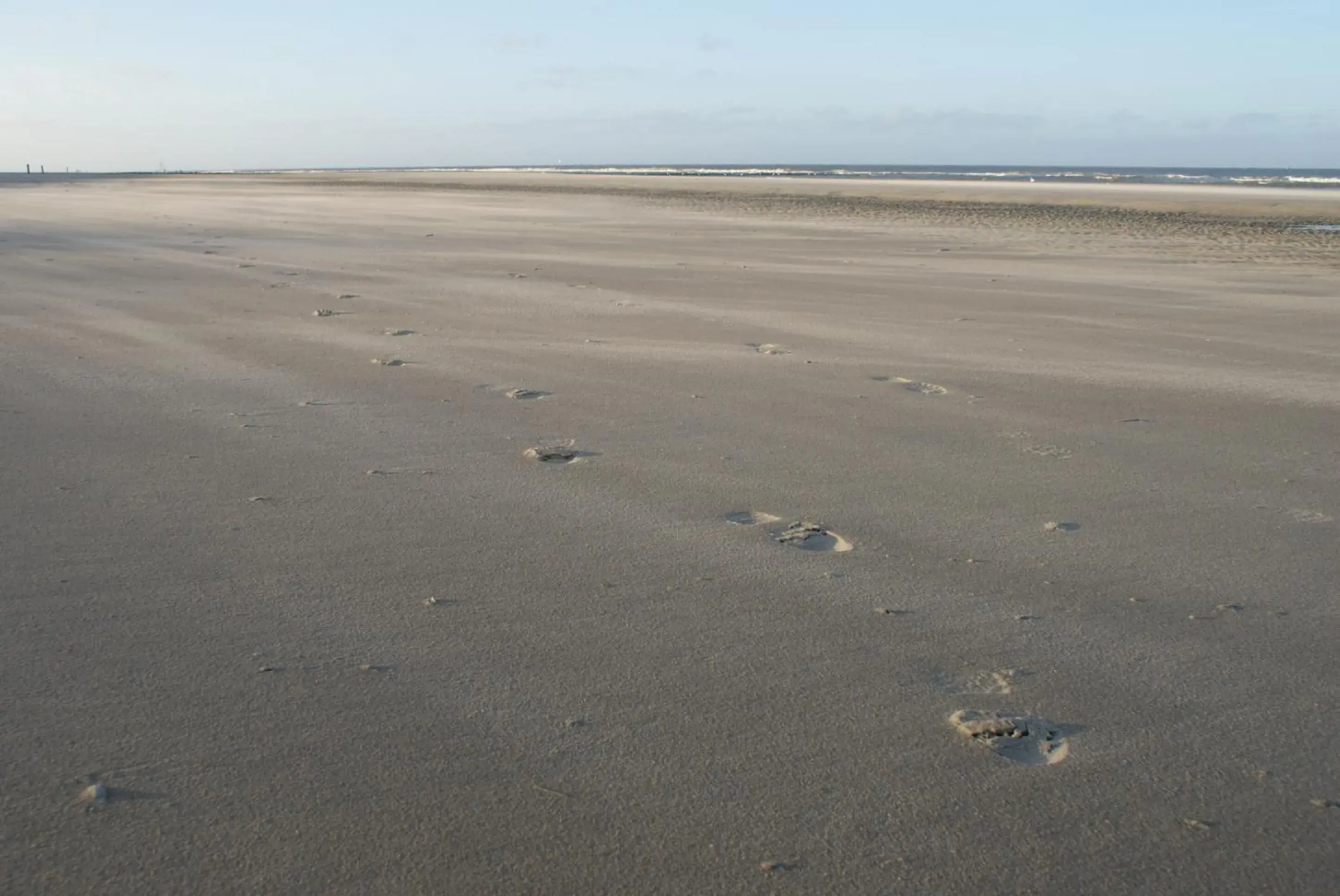 De Herbergh Van Flielant