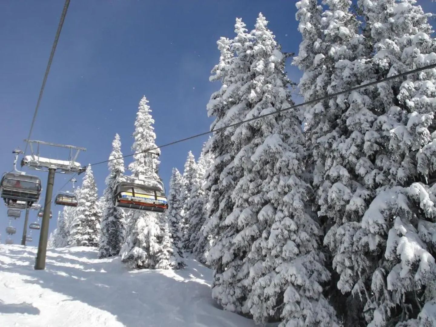 Haus Daniel Schartner