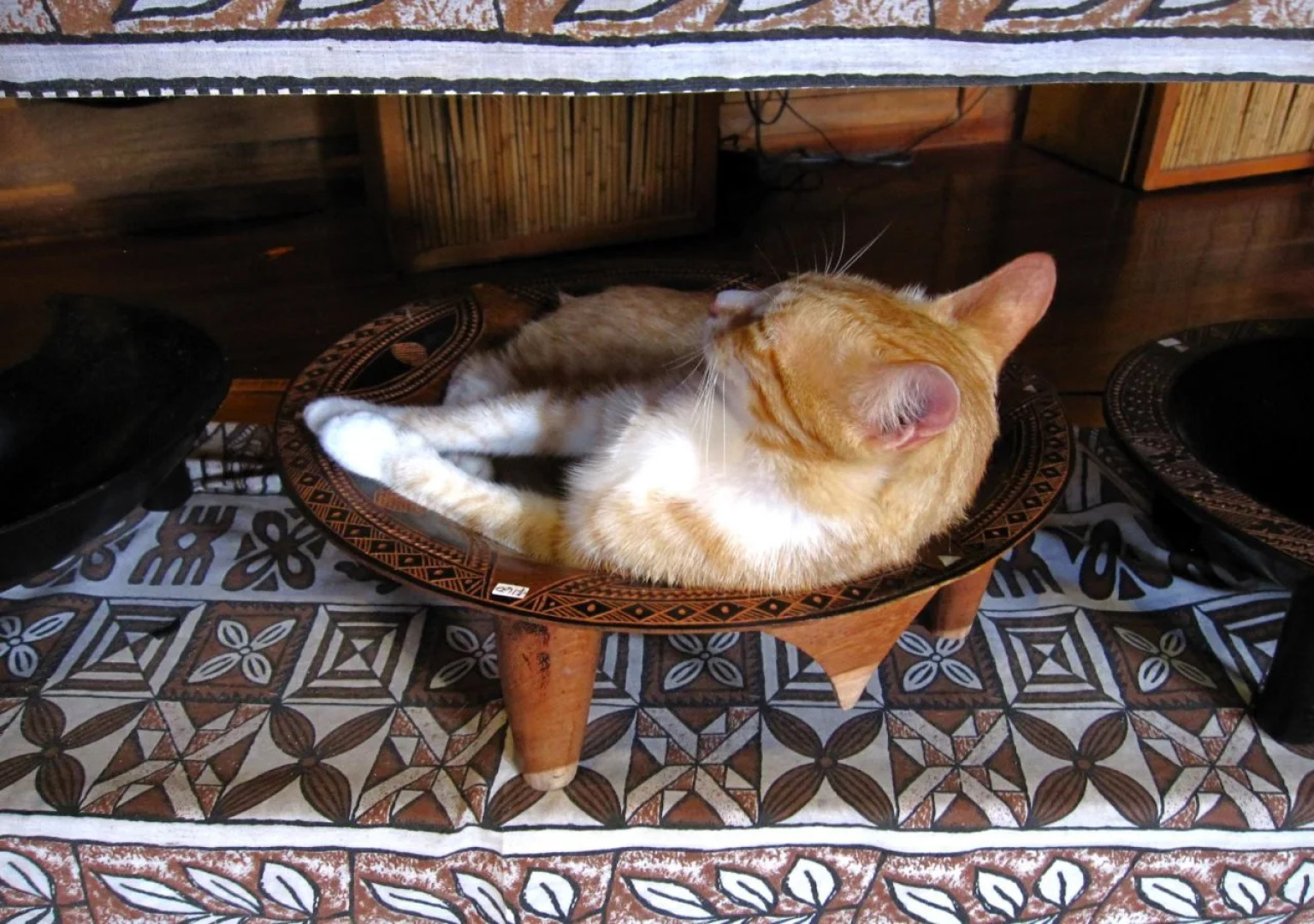 Coconut Grove Beachfront Cottages