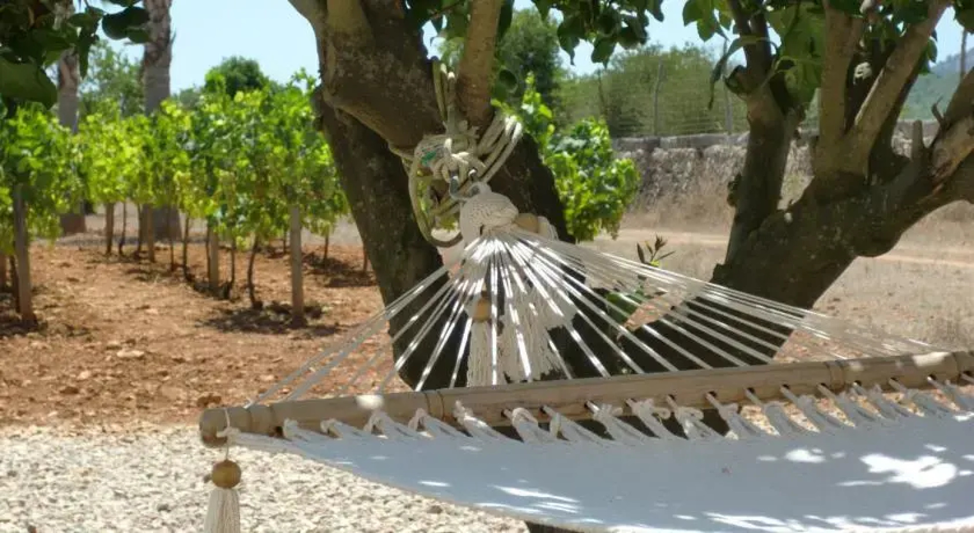 Guesthouse Dulce Vida Mallorca