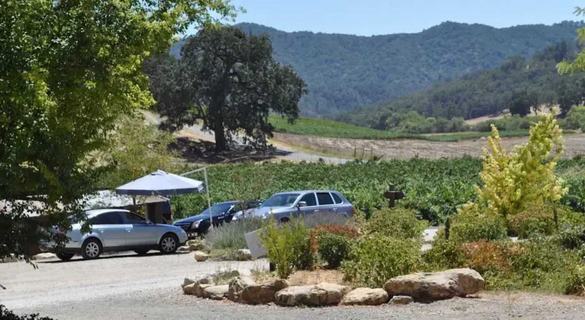 Villa Vino at Poalillo Vineyards