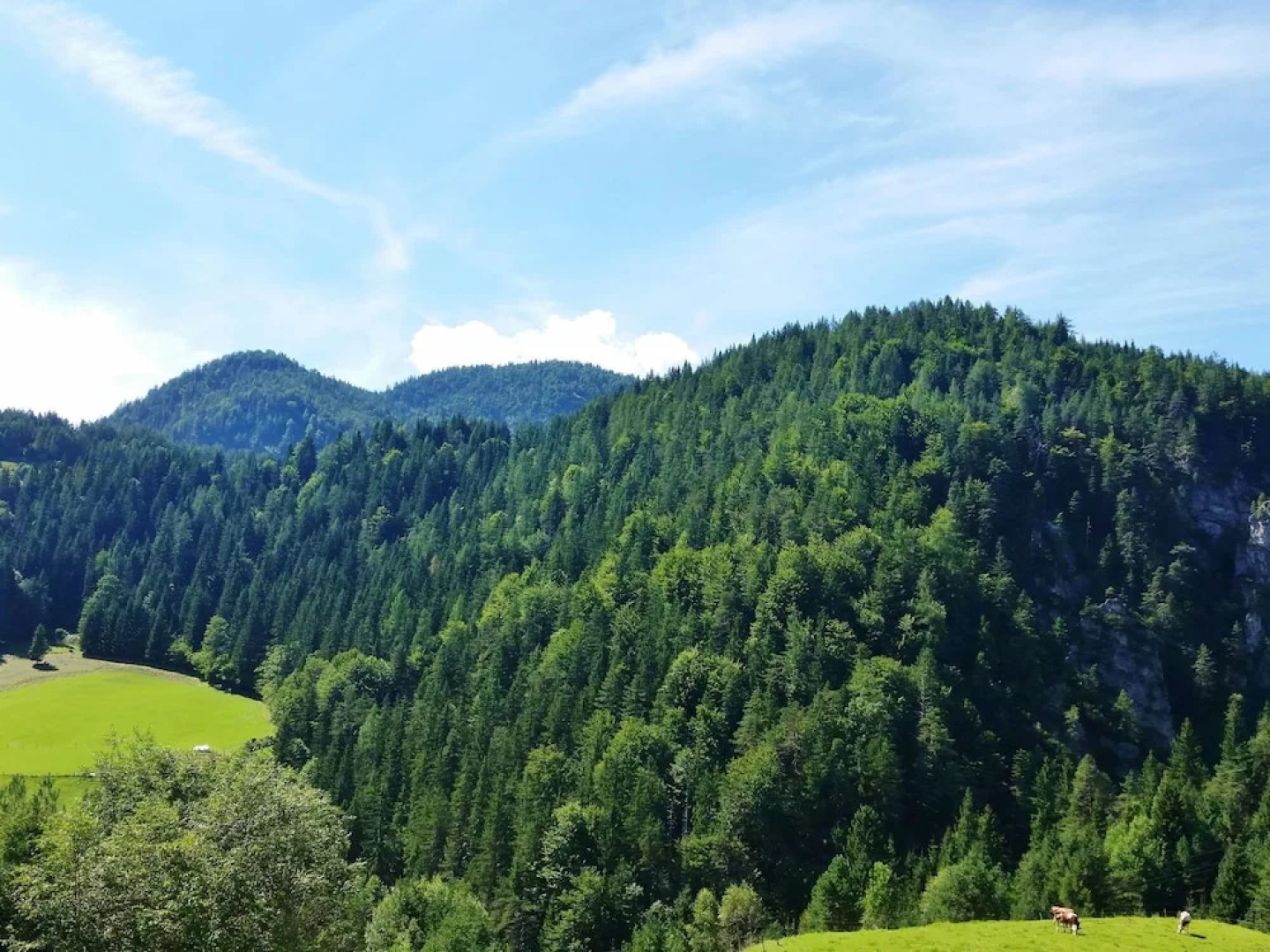 Lovely Chalet in Sankt Ulrich am Pillersee near Ski Area