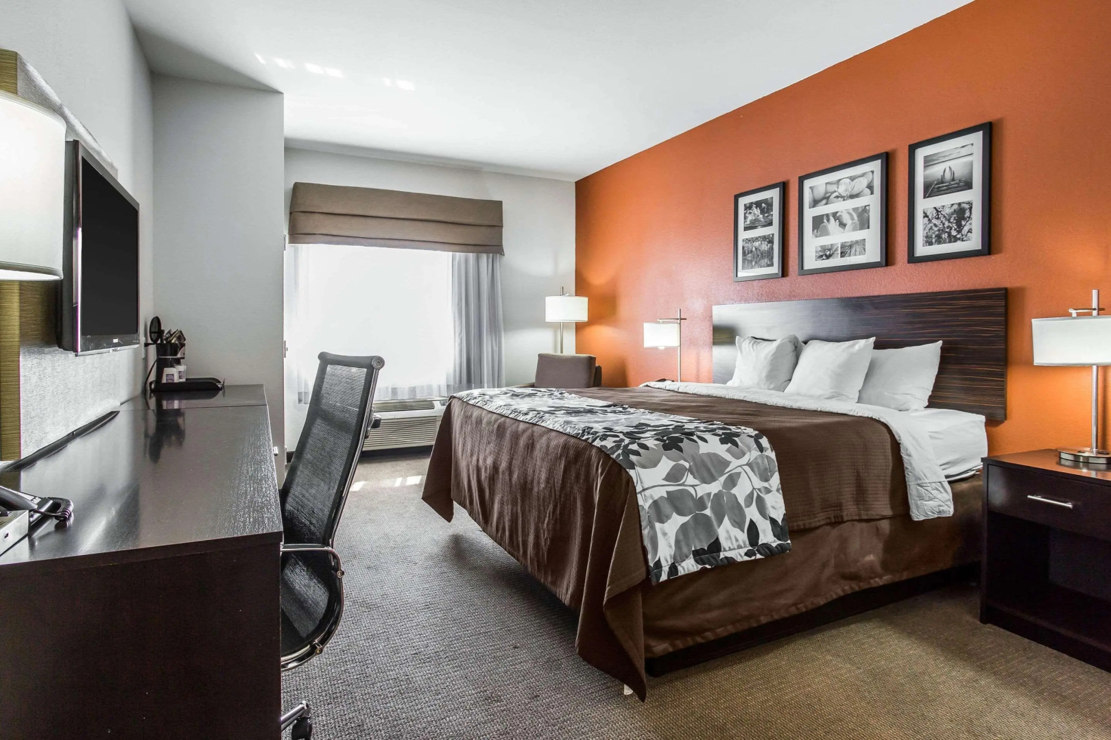 Sleep Inn & Suites Lubbock West