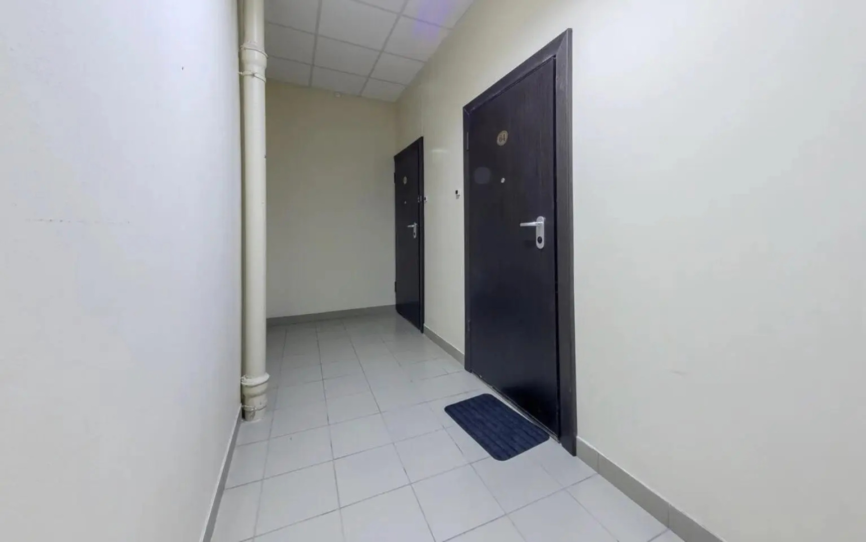 Питерские каникулы на улице Глухая Зеленина